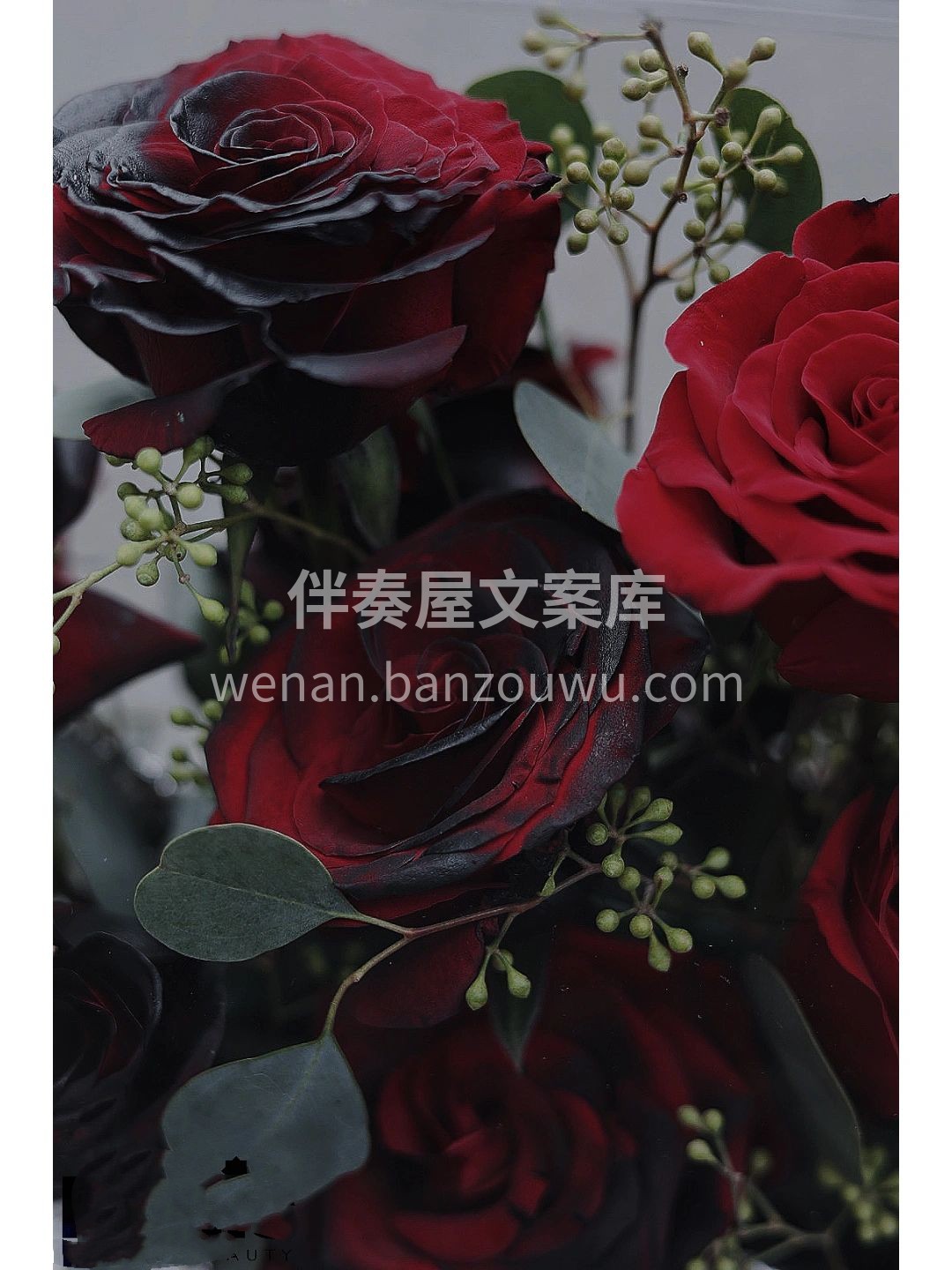 亚克力花盒 精选红玫瑰🌹搭配高级亚克力花 配图2