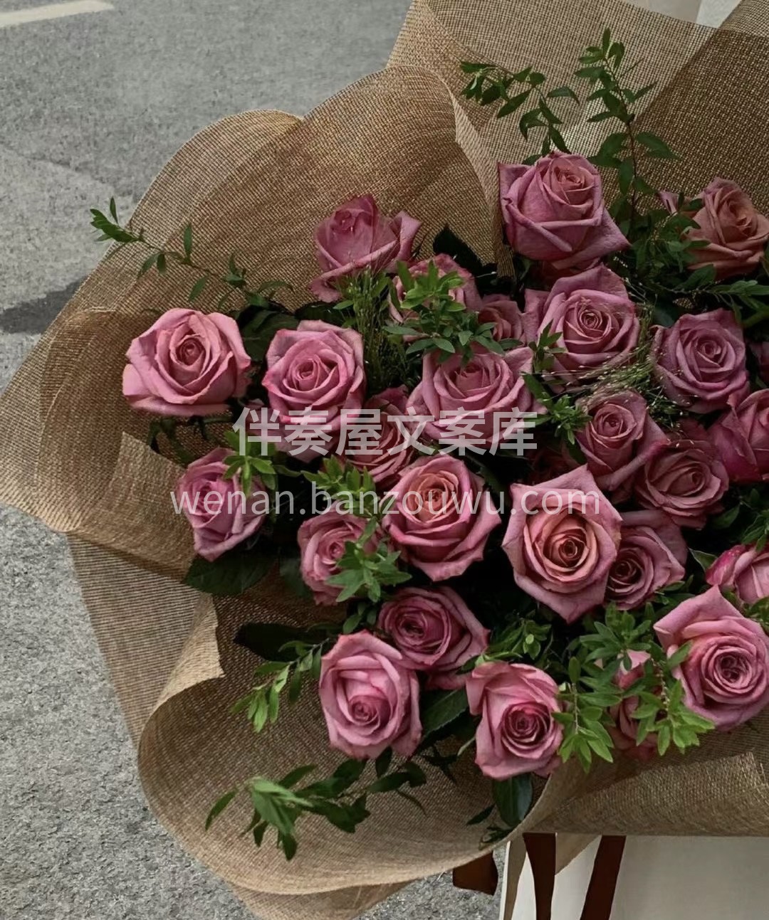 开成花灾的玫瑰不是灿烂，而是凄凉。玫瑰丢 配图3