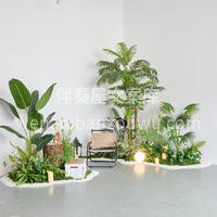 绿植组合陈列设计 绿植场景组合起来后视觉 配图1