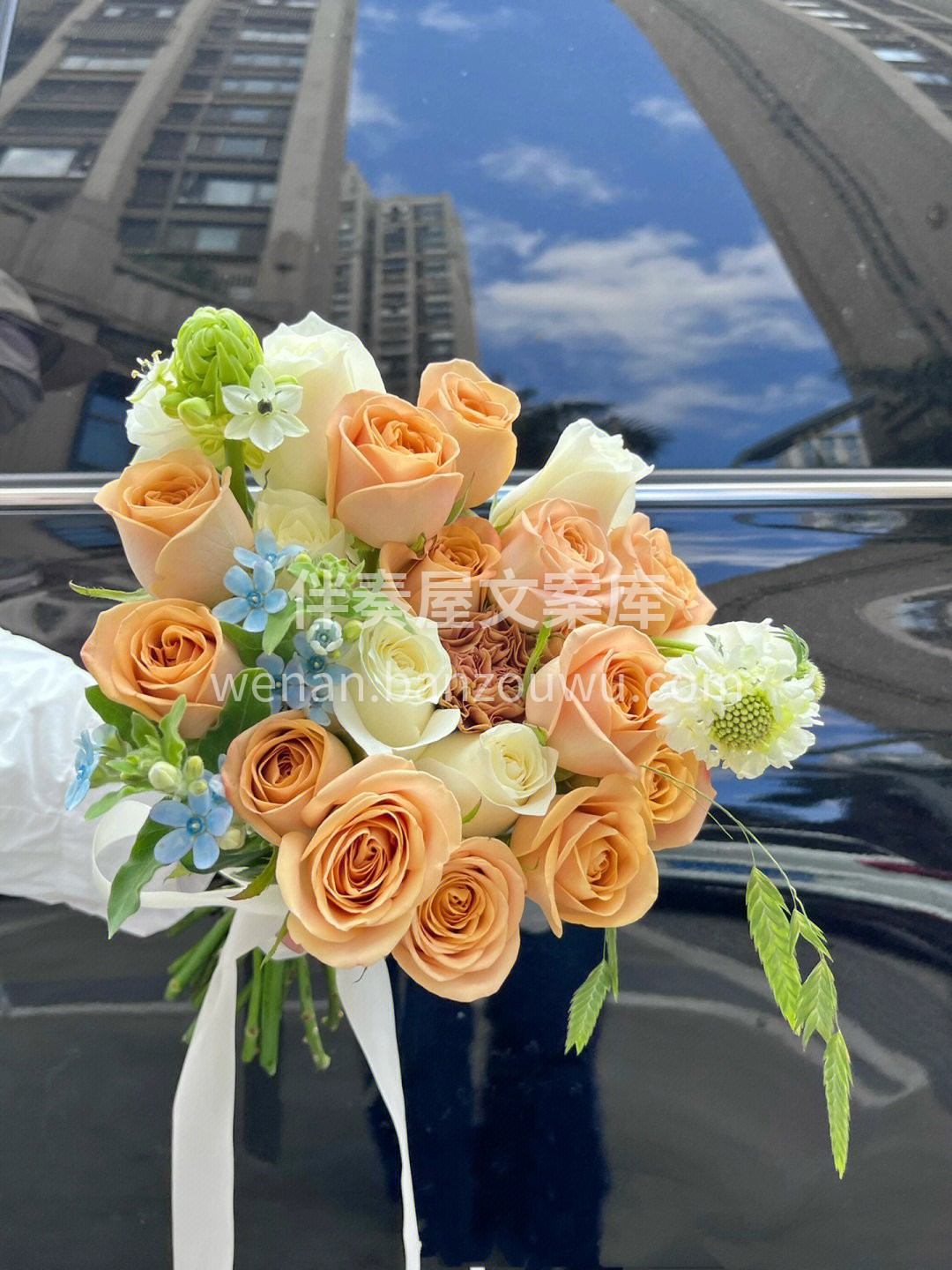 一束精致的手捧花💐 会成为婚纱最好的点缀 配图1