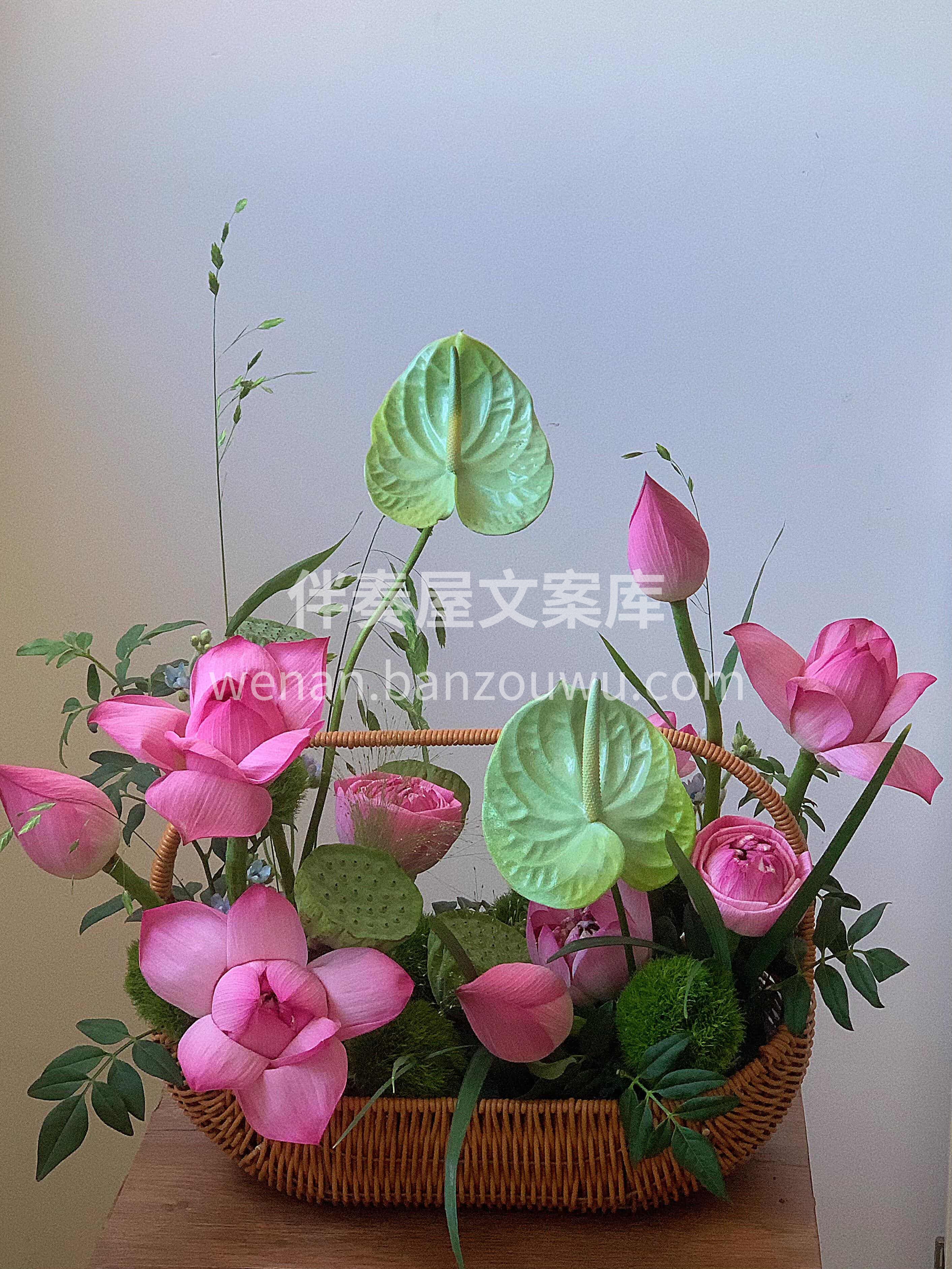 手提一篮荷香奔赴盛夏🌸 饱满的荷花 俏皮的小莲蓬 缀着晨露般 配图1