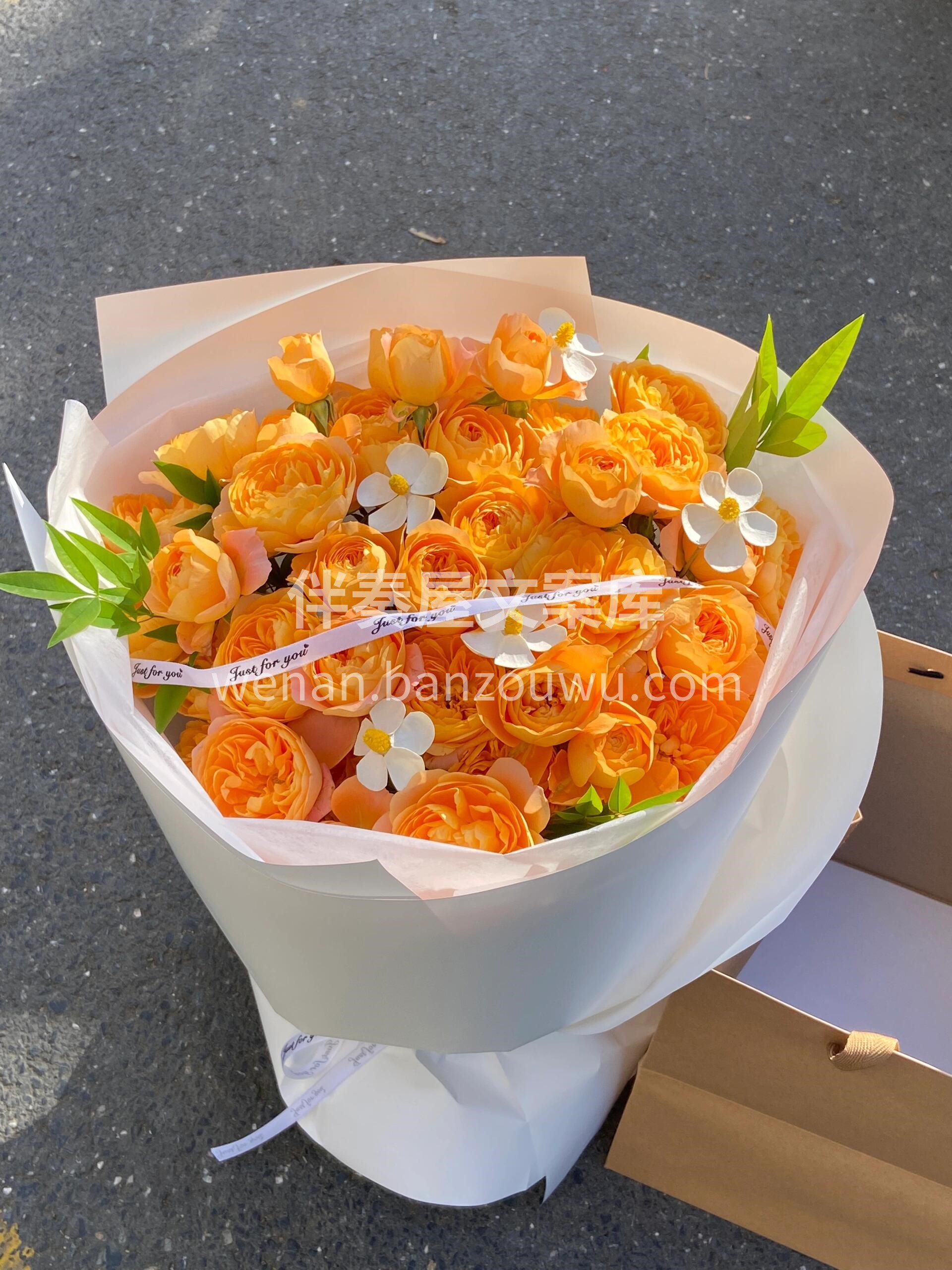 阳光下🍊的果汁阳台美得闪闪发光 超级温暖 配图2