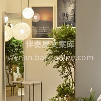 家具绿植软装预订~ 软装中绿植真的是一件 配图2