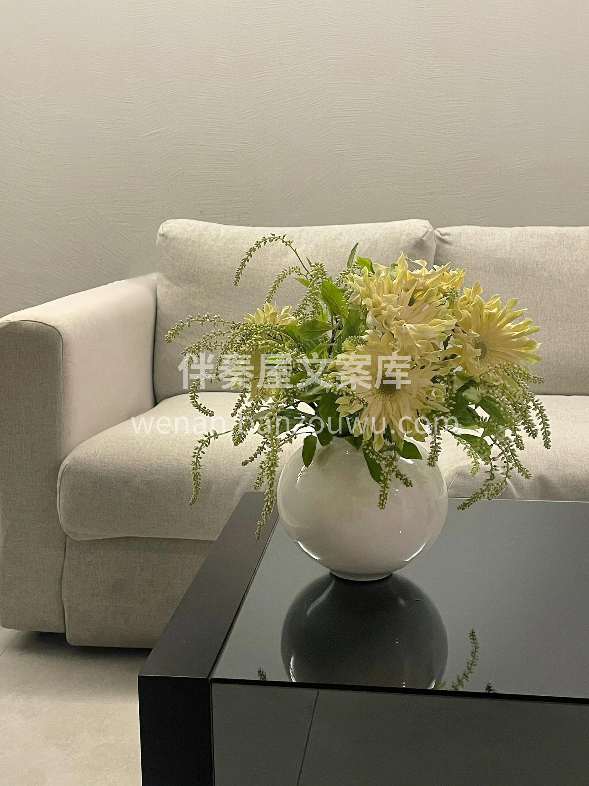 奶呼呼的卷边非洲菊🌼也太可爱了吧 颜值在线🌸 花期也长💛💛  配图2