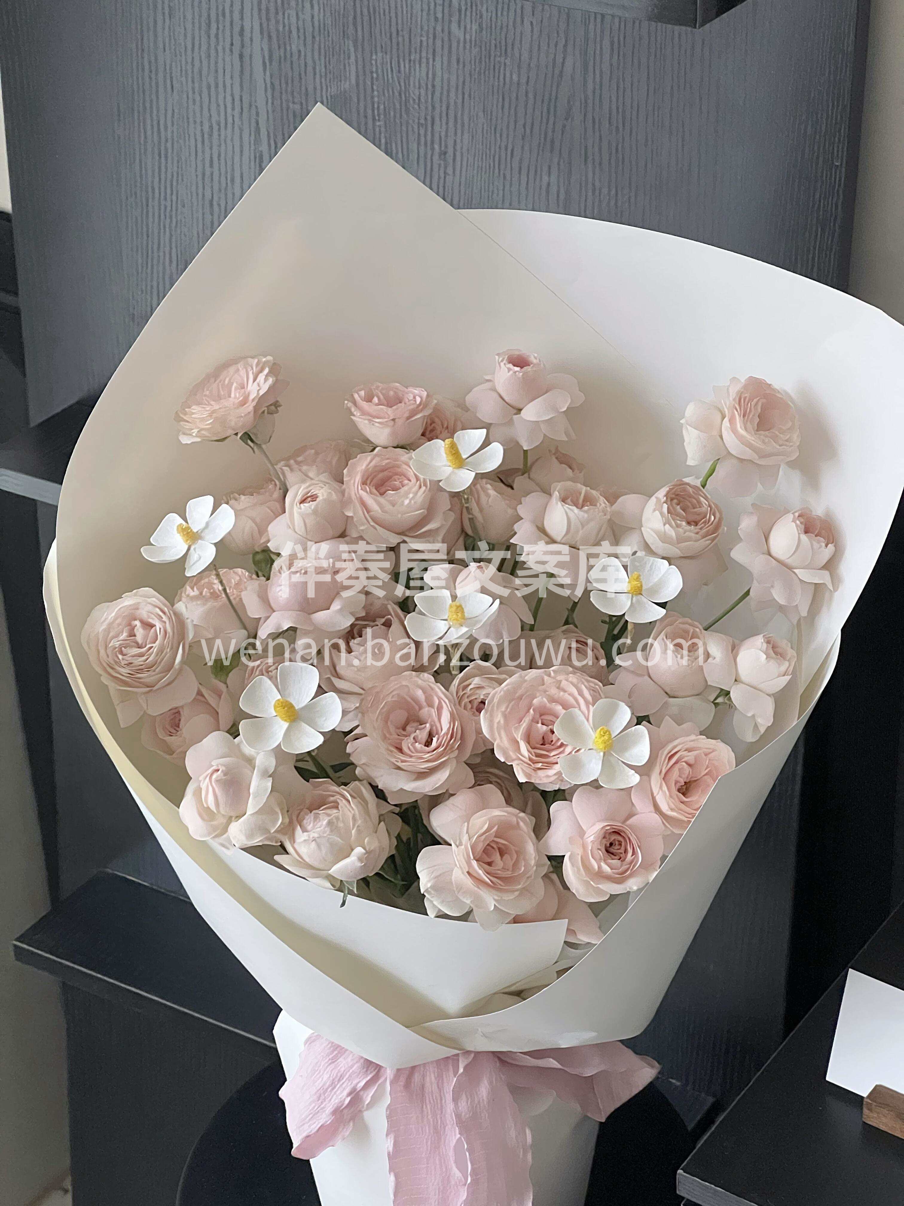 仙子之吻玫瑰🌹 花语：你是我藏在心里的爱意 仙子轻吻👼 让晦 配图1