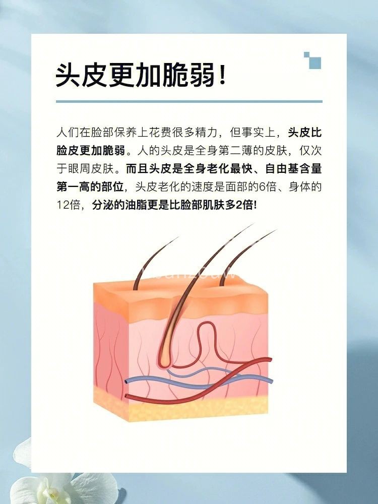 头皮护理比面部护理更重要 头和脸其实是一