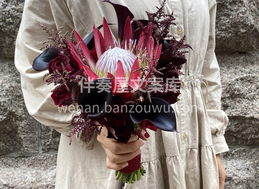 霸道又温柔的帝王花 被称为“花中之花”  配图3
