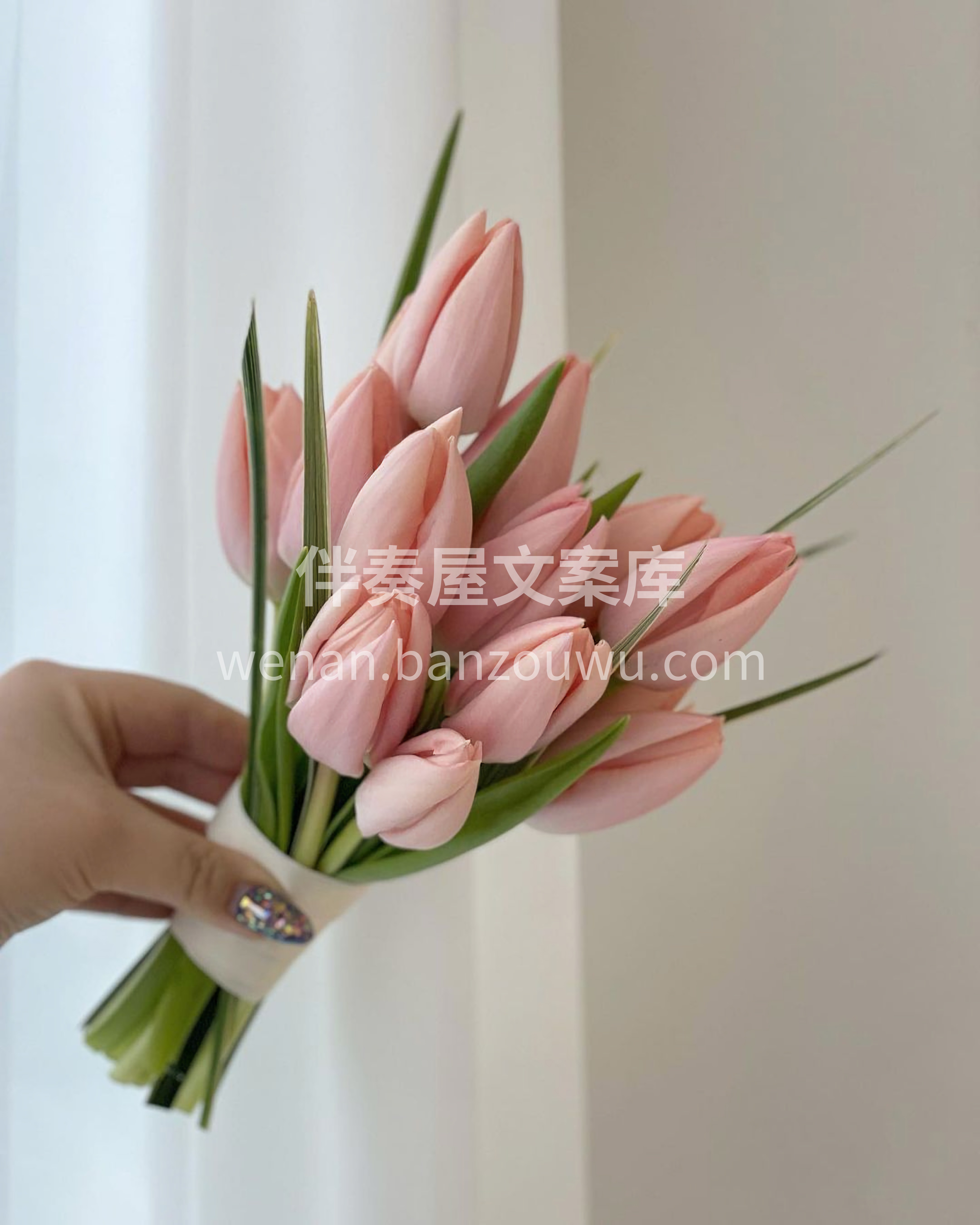 今日手捧花分享 不同色系的手捧花 总有一 配图3