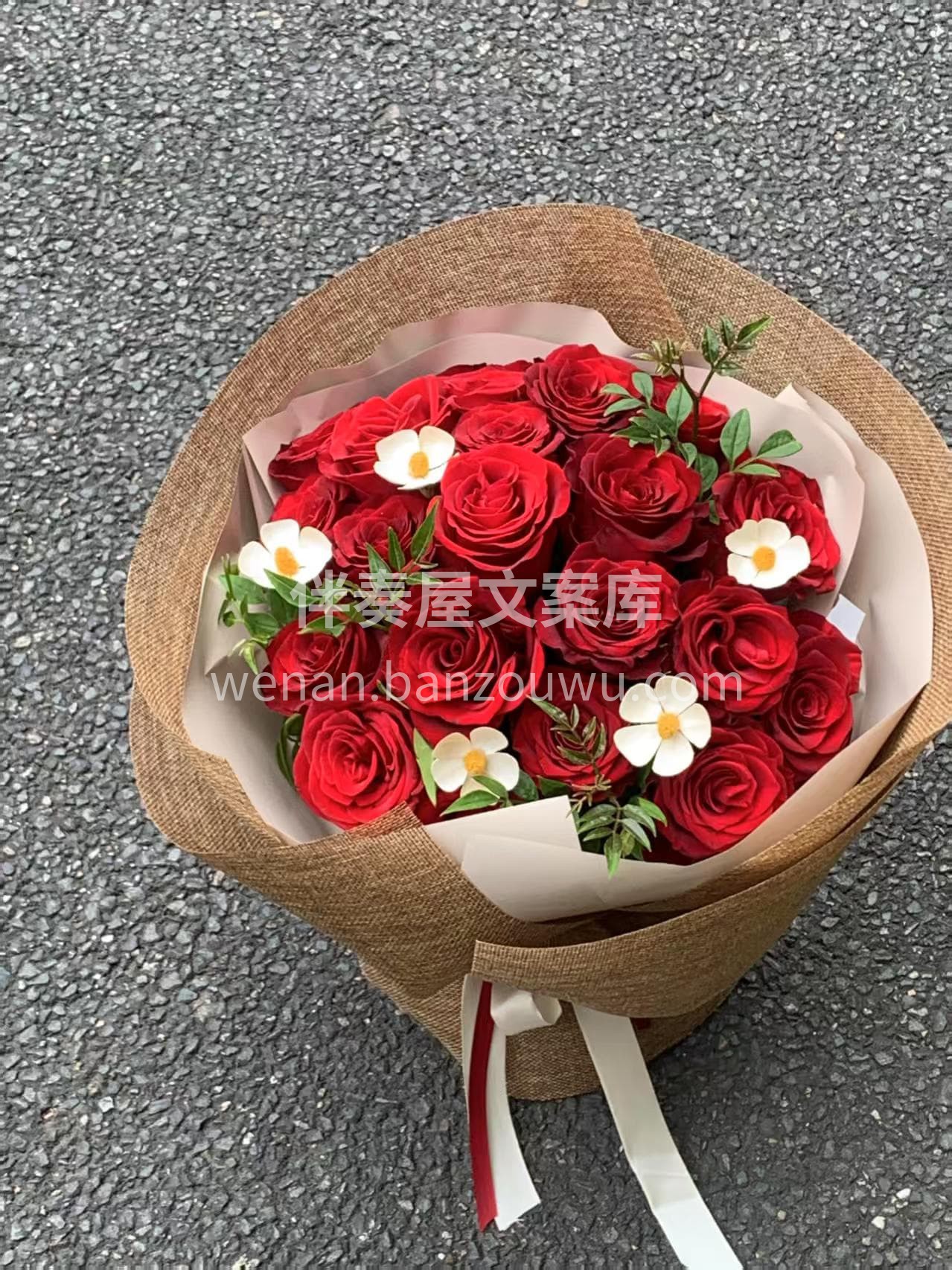 红玫瑰也可以文艺又清新 🍃 红玫瑰是浪漫的✌︎' ֊' 你是 配图2