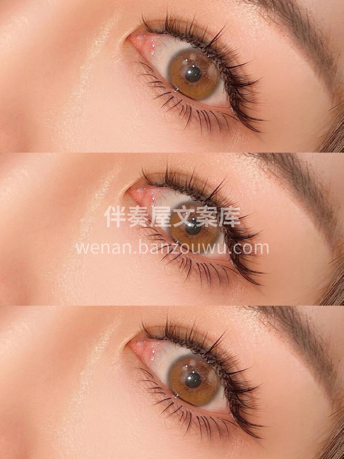 🌸✨ 𝕄𝕖𝕚 𝕛𝕚𝕖｜裸妆必备 清新自然