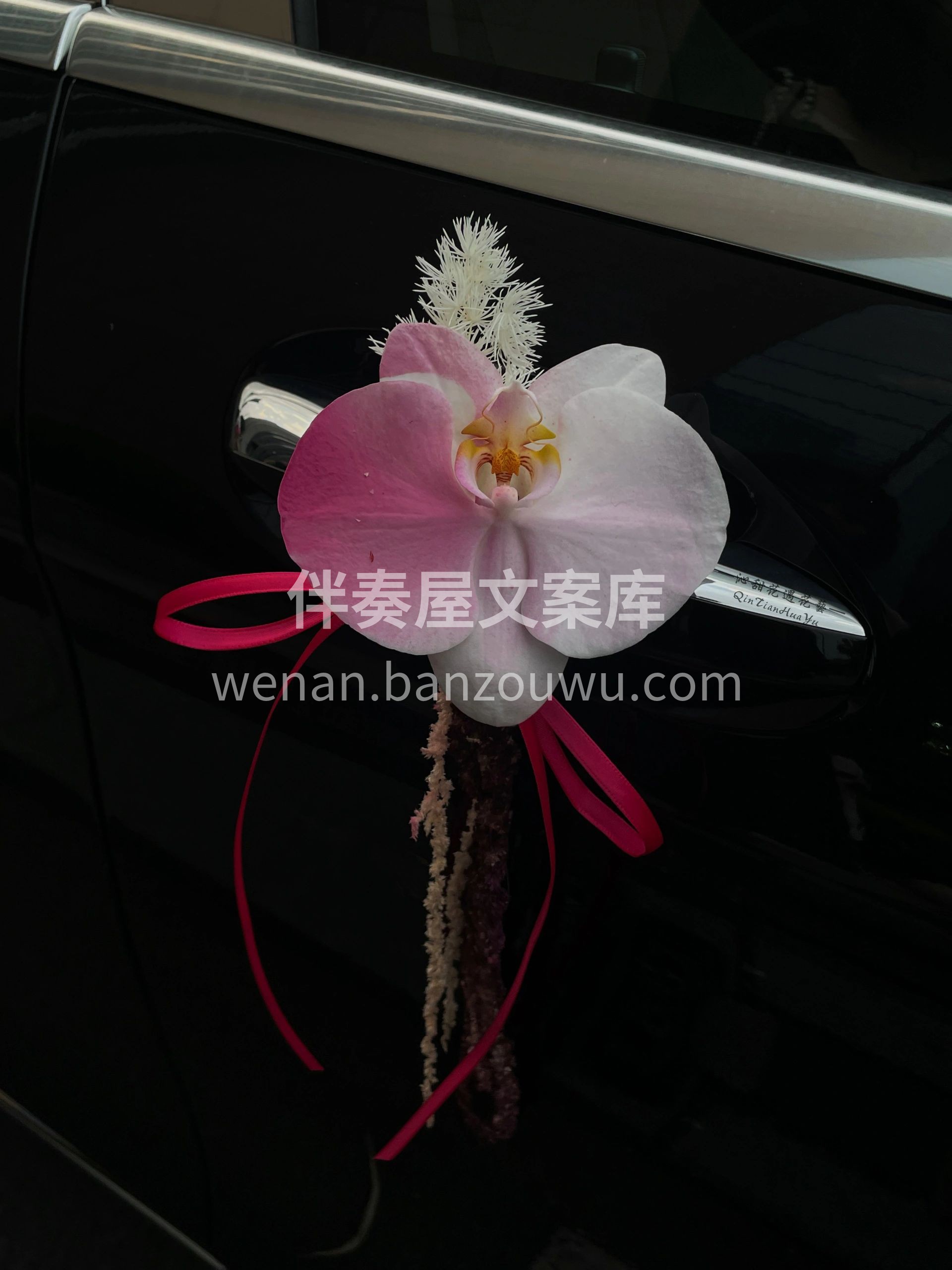 加了复古红的弗洛伊德婚车🚓 比玫粉系的💓 配图2
