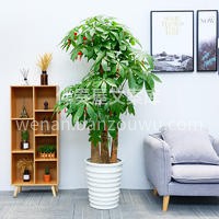 发财树·财源滚滚，乔迁送礼，开业大吉 🌿 配图1