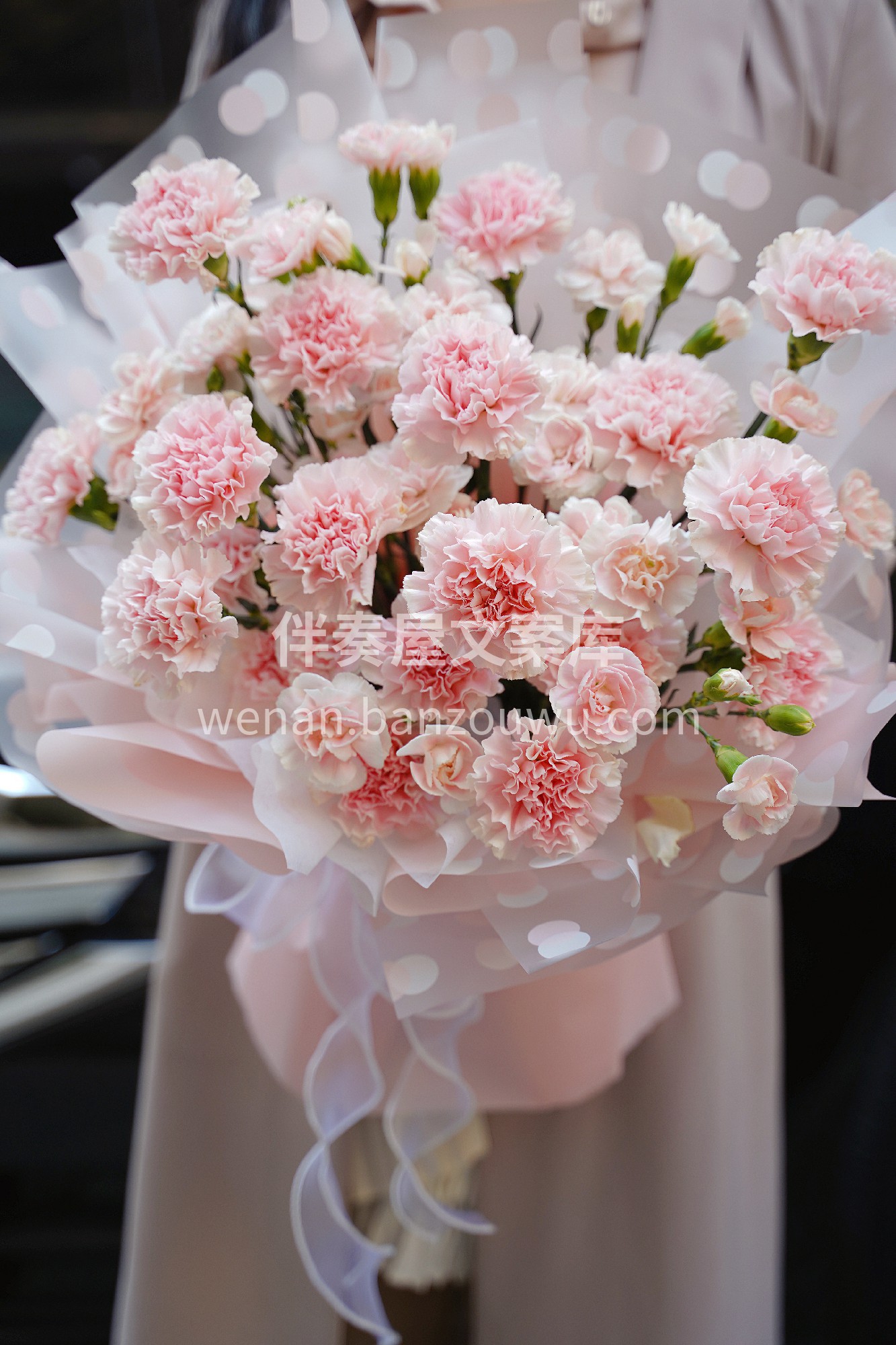 康乃馨花束预定 女王节快到了，送妈妈当然 配图1