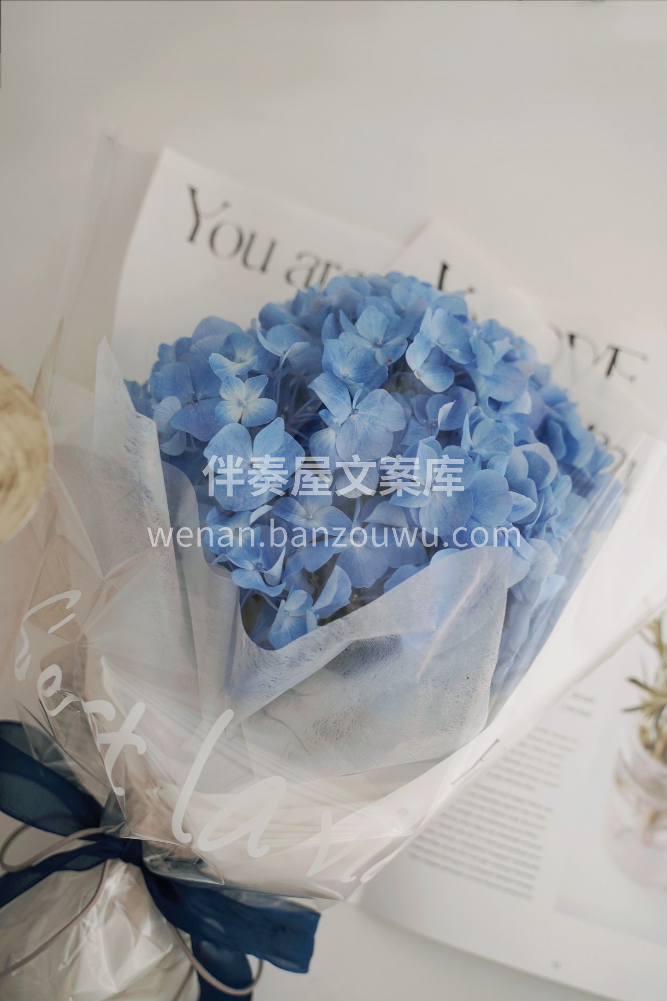 👍超美的海蓝色绣球花 独自包装自成一道风 配图3