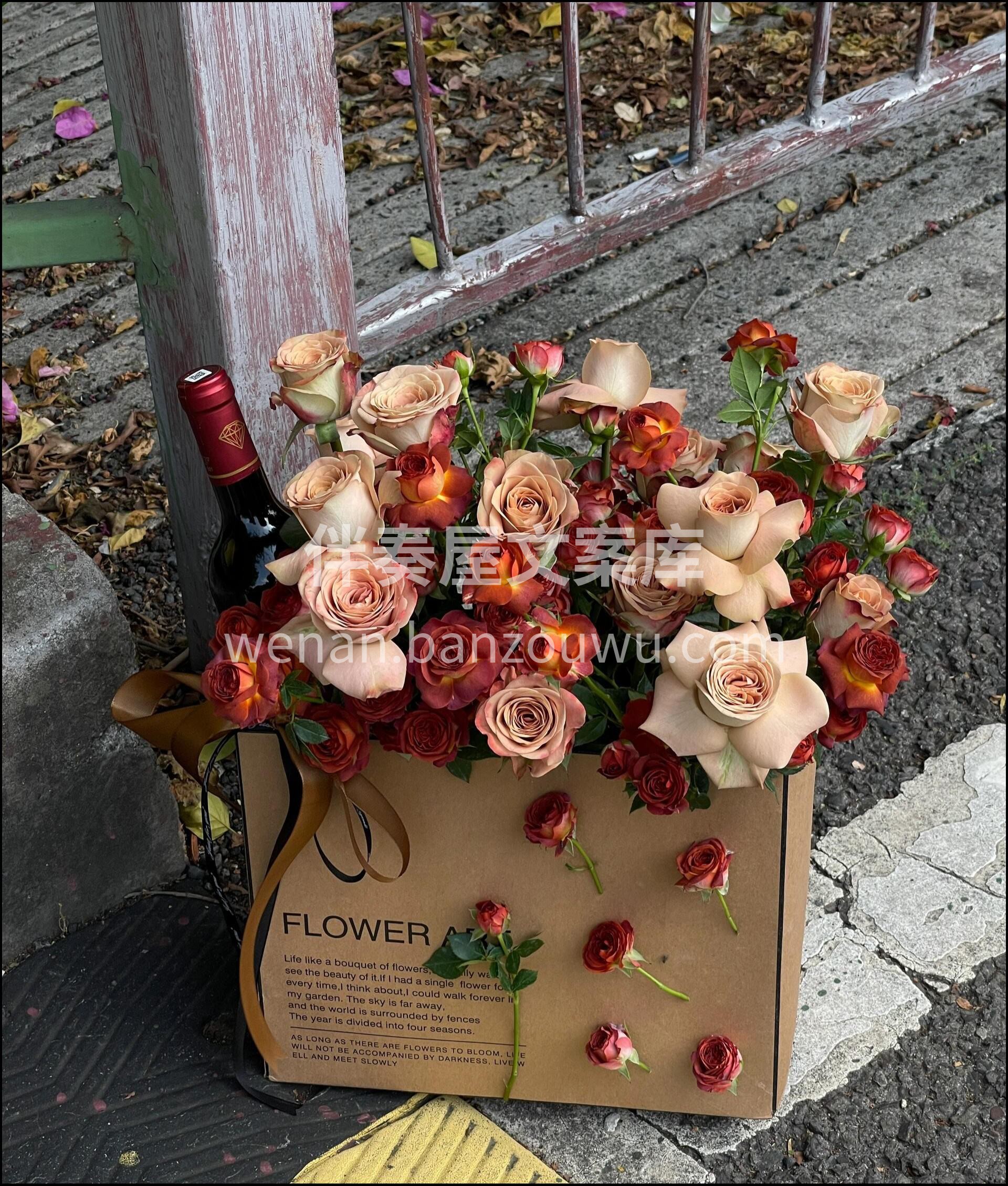 卡布奇诺抱抱袋 如果一定要选一种花代表秋 配图2