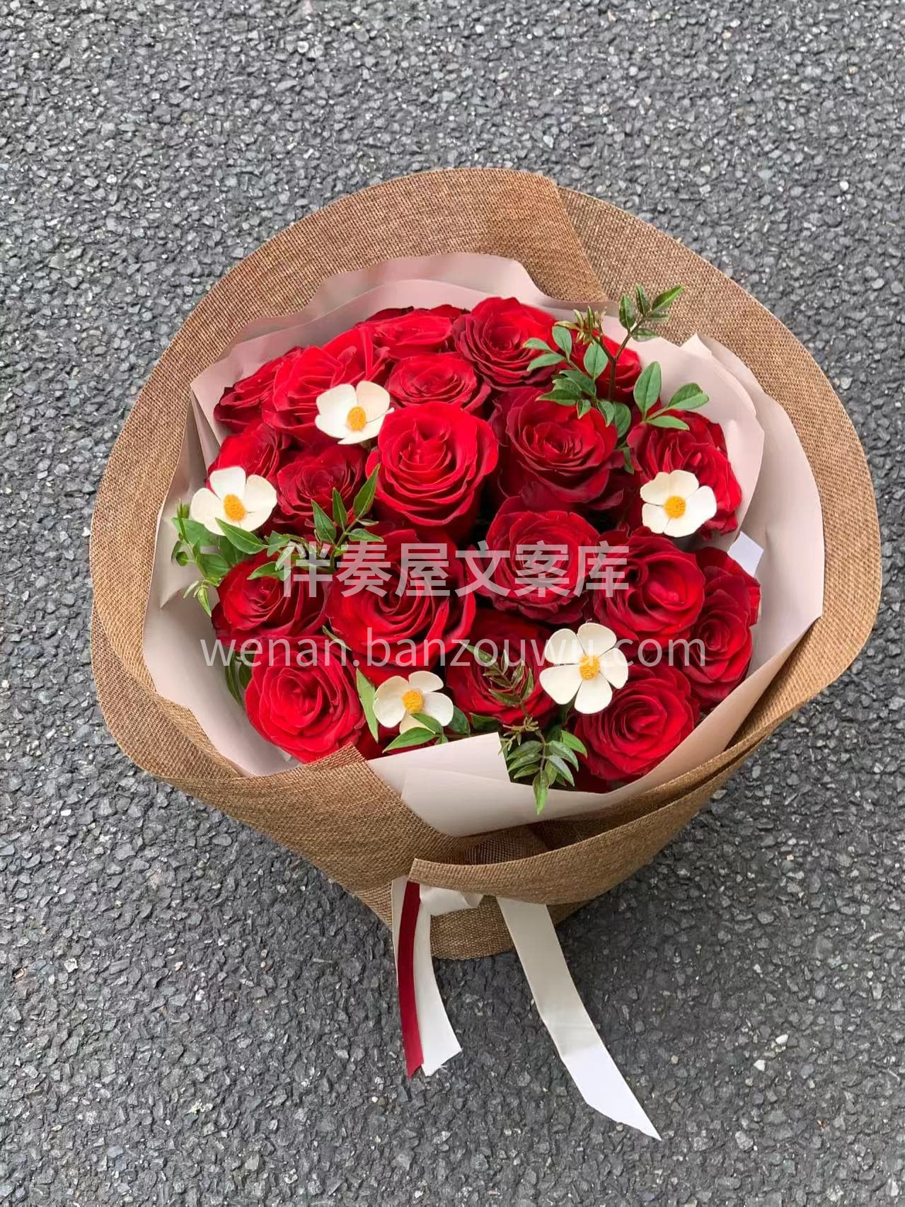红玫瑰也可以文艺又清新 🍃 红玫瑰是浪漫的✌︎' ֊' 你是 配图1