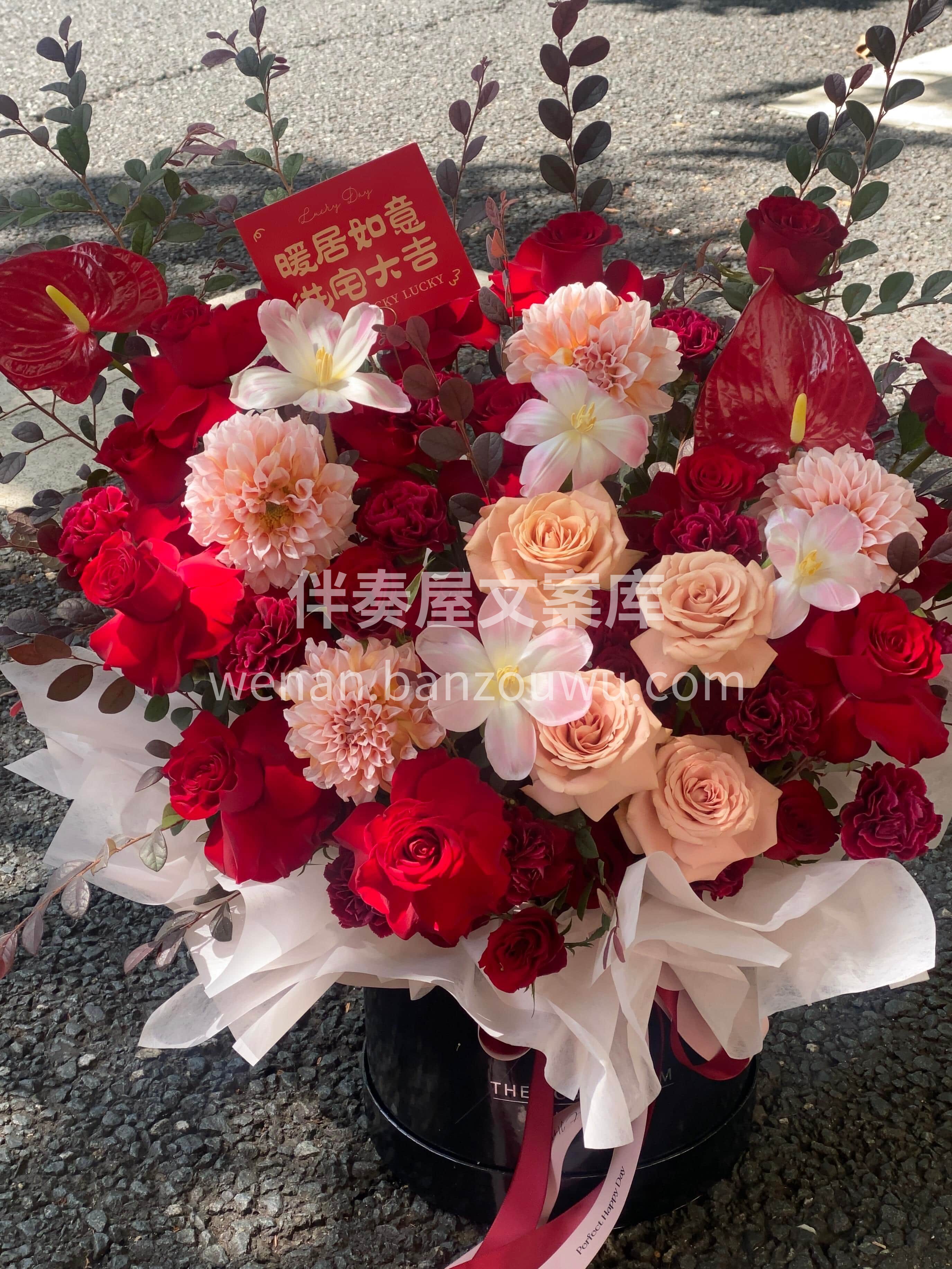 乔迁之喜🍅诸事顺利🌶️暖居如意 愿往后日子❤️顺遂常伴🎈暖意 配图3
