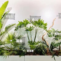 绿植组合布景设计 整体造型简洁美观，新颖 配图2