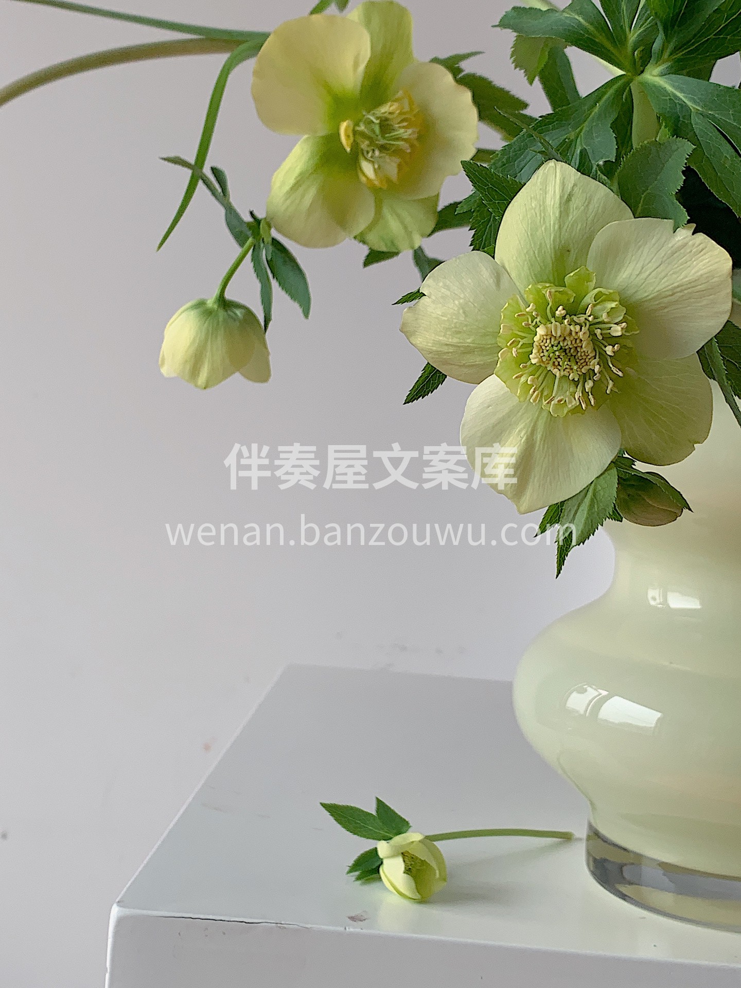 瓶插花太美了😍 插一个充满生机🌱的瓶插花 把花材和容器都优势 配图5