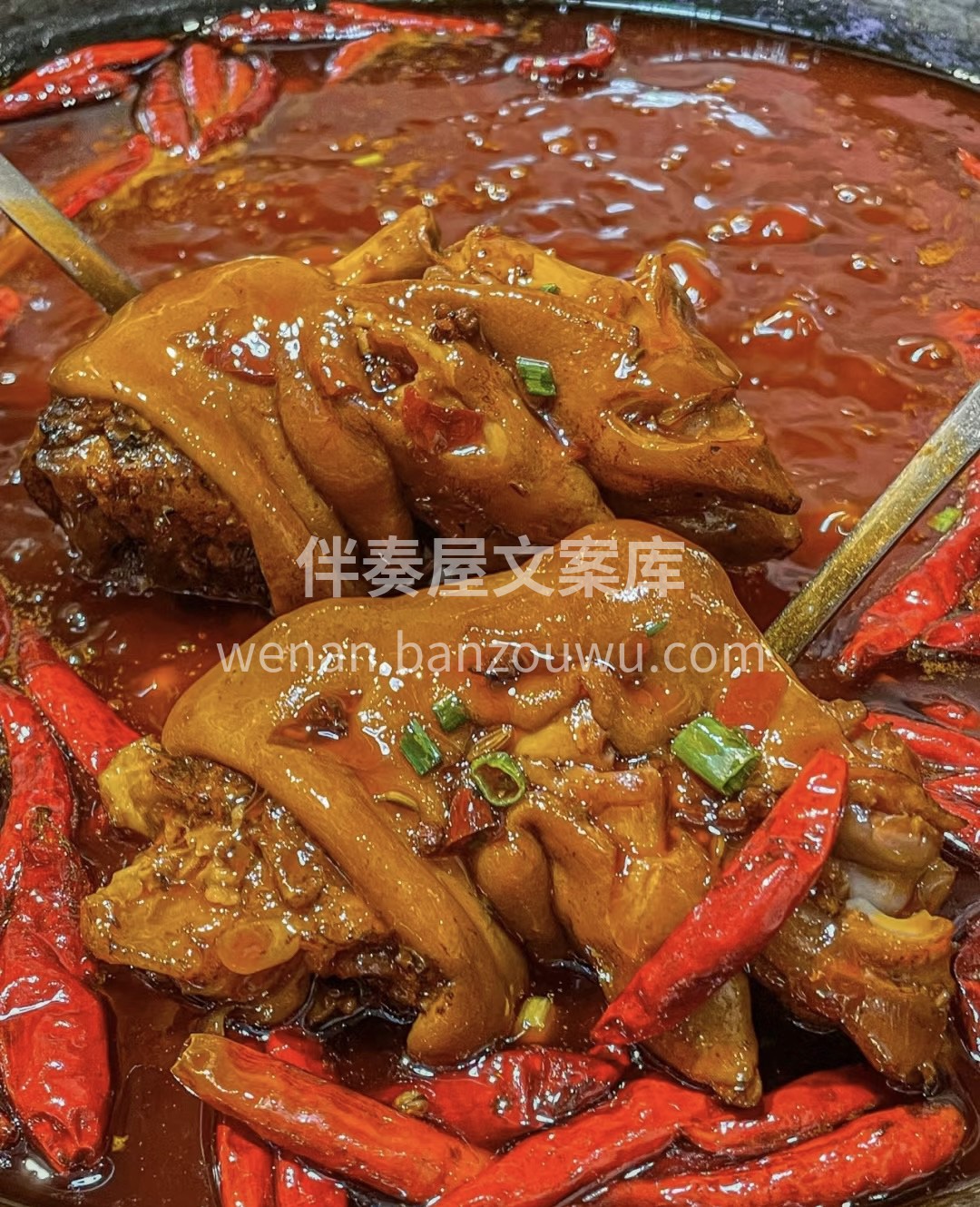 蹄花煮火锅！真的无敌了好好吃啊啊啊！煮的 配图1