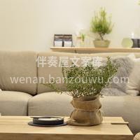 家具绿植软装预订~ 软装中绿植真的是一件 配图1