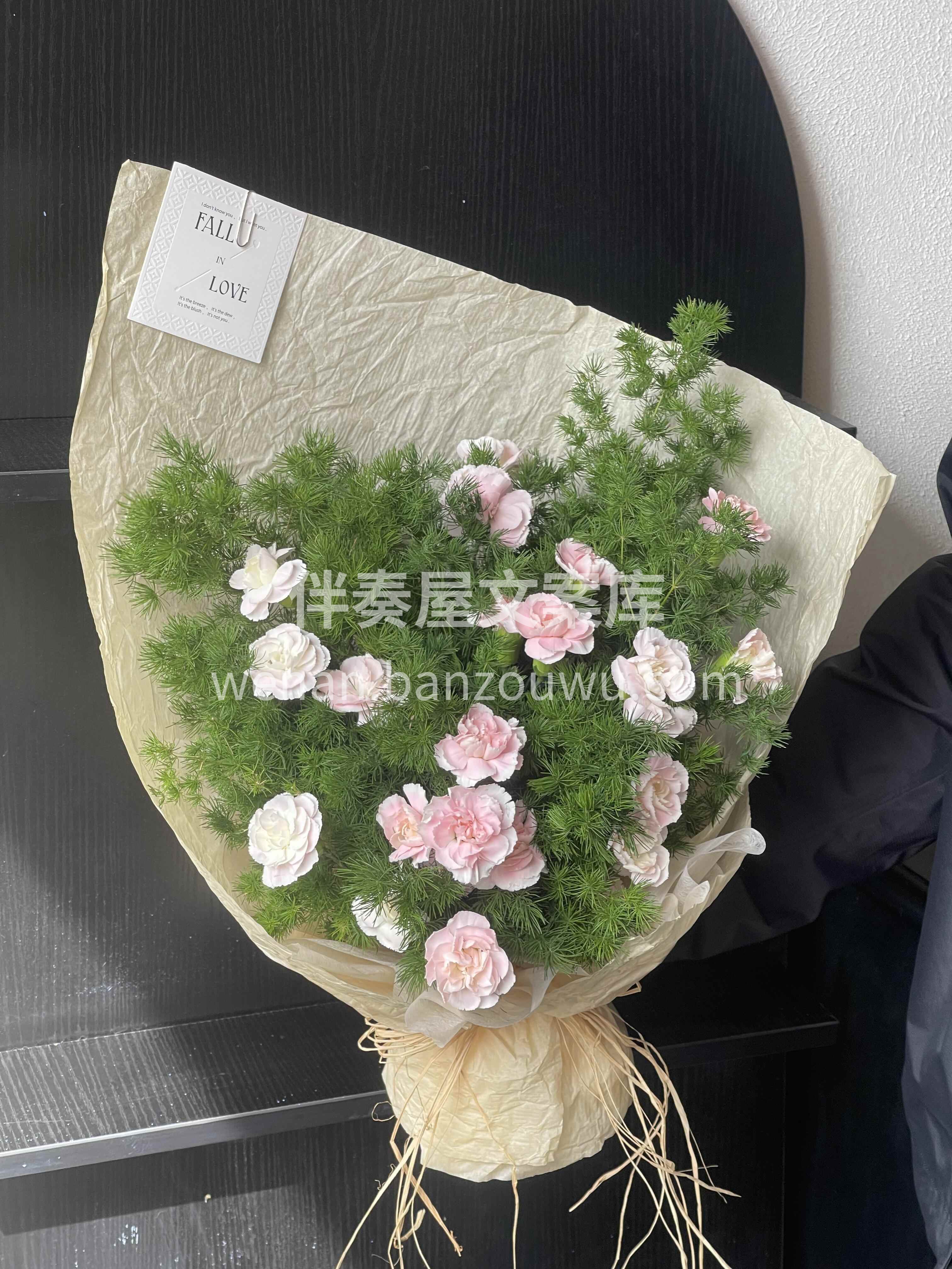 蓬莱松的美🌿是藏在枝叶里的温润与坚韧🌸 松针细密舒展🌱自带松 配图2