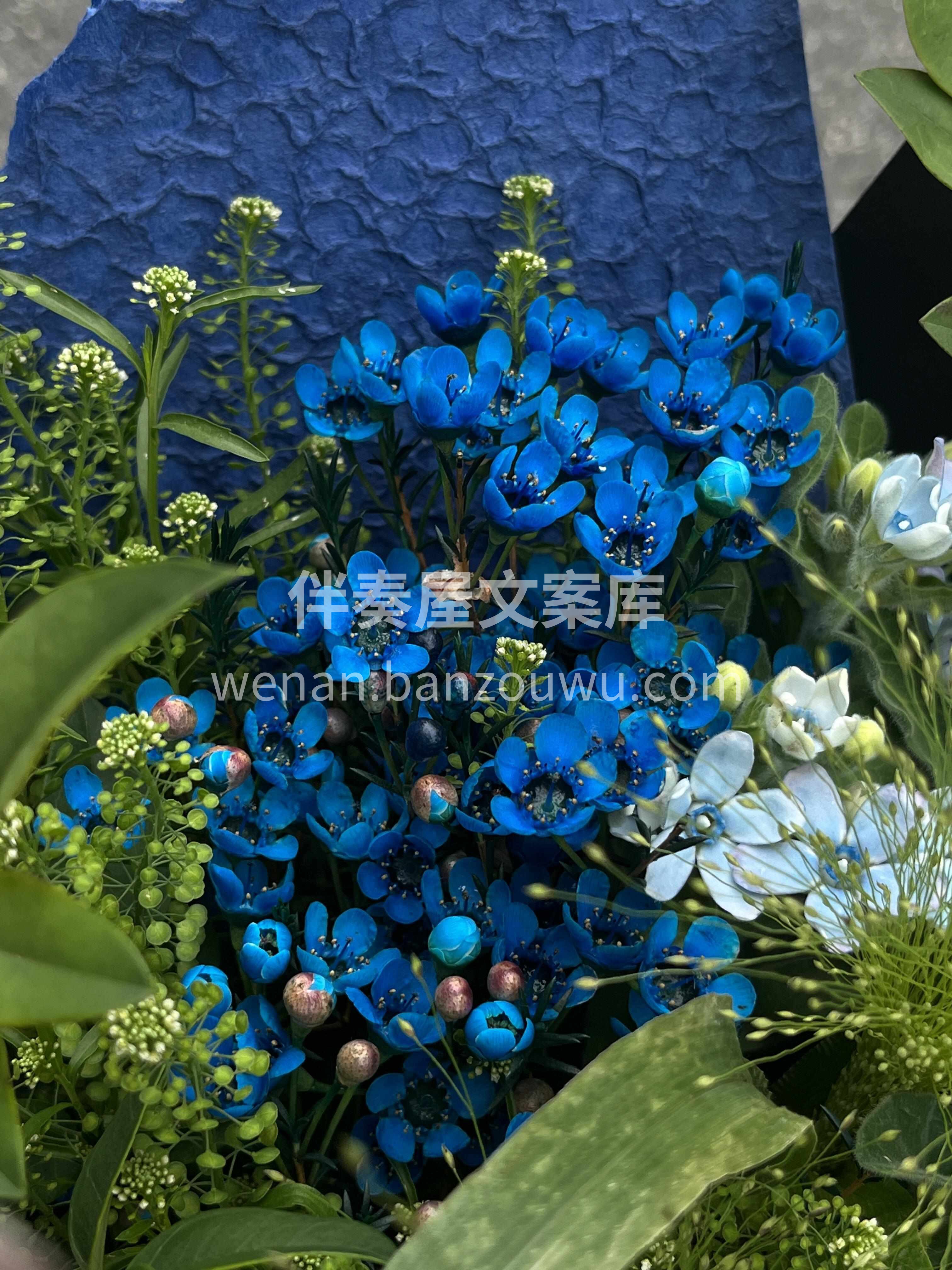 蓝绿色花束💙 把情绪轻轻放下🌿 把好心情重新点亮💛 配图3