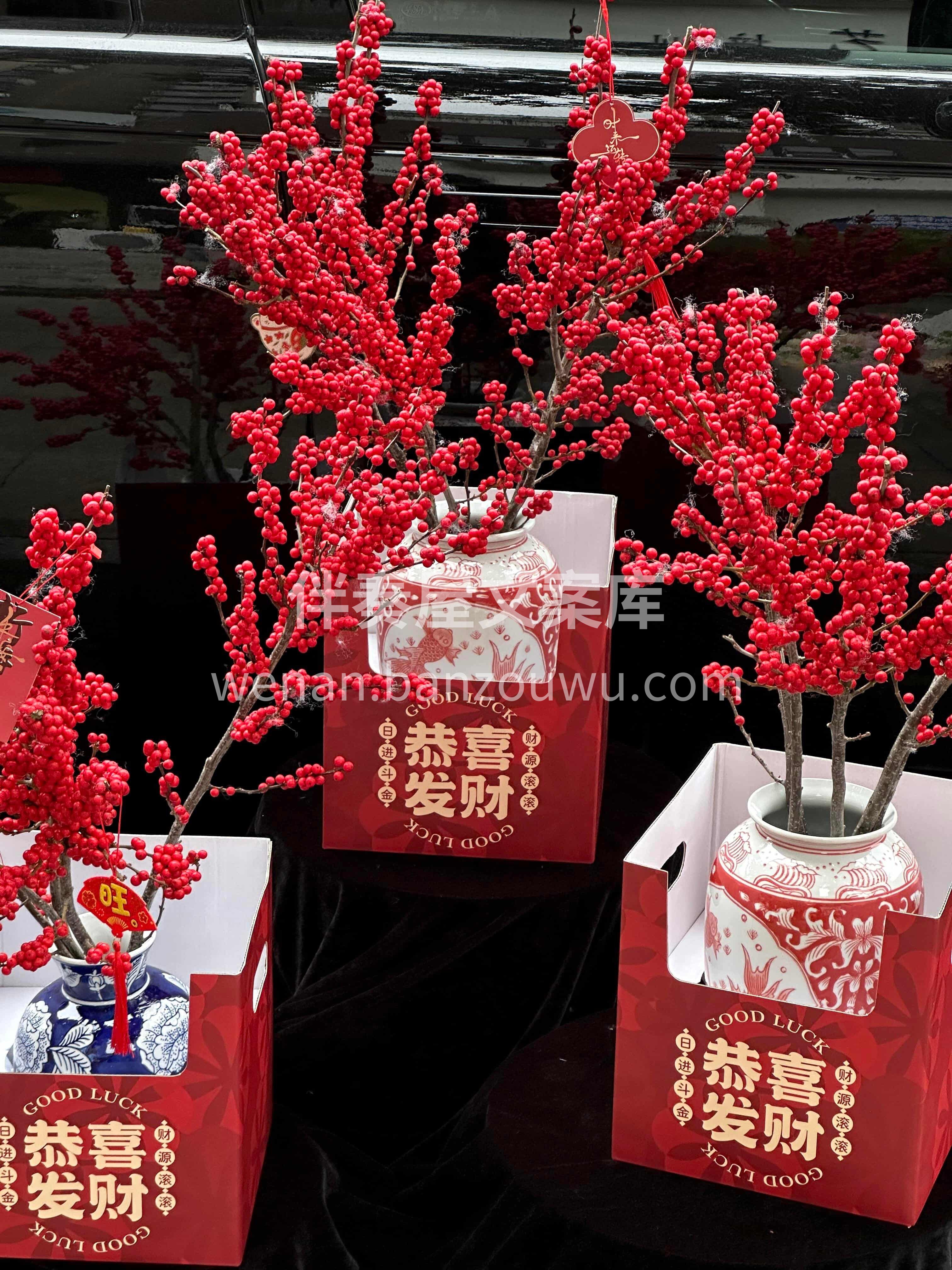 春节瓶花选冬青🔥 ❤️红红火火过大年[烟花] 家宅安康[福] 配图2