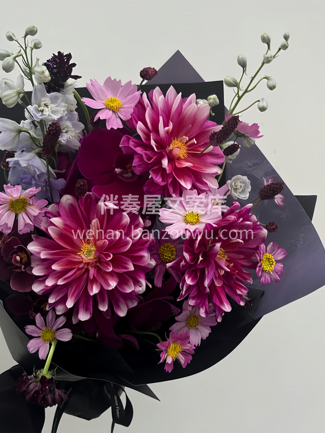 ✨🍃✨我想青春这首诗 应是茂茂长安花🌱 🎈🎈🎈 🌸大丽花混搭 配图2