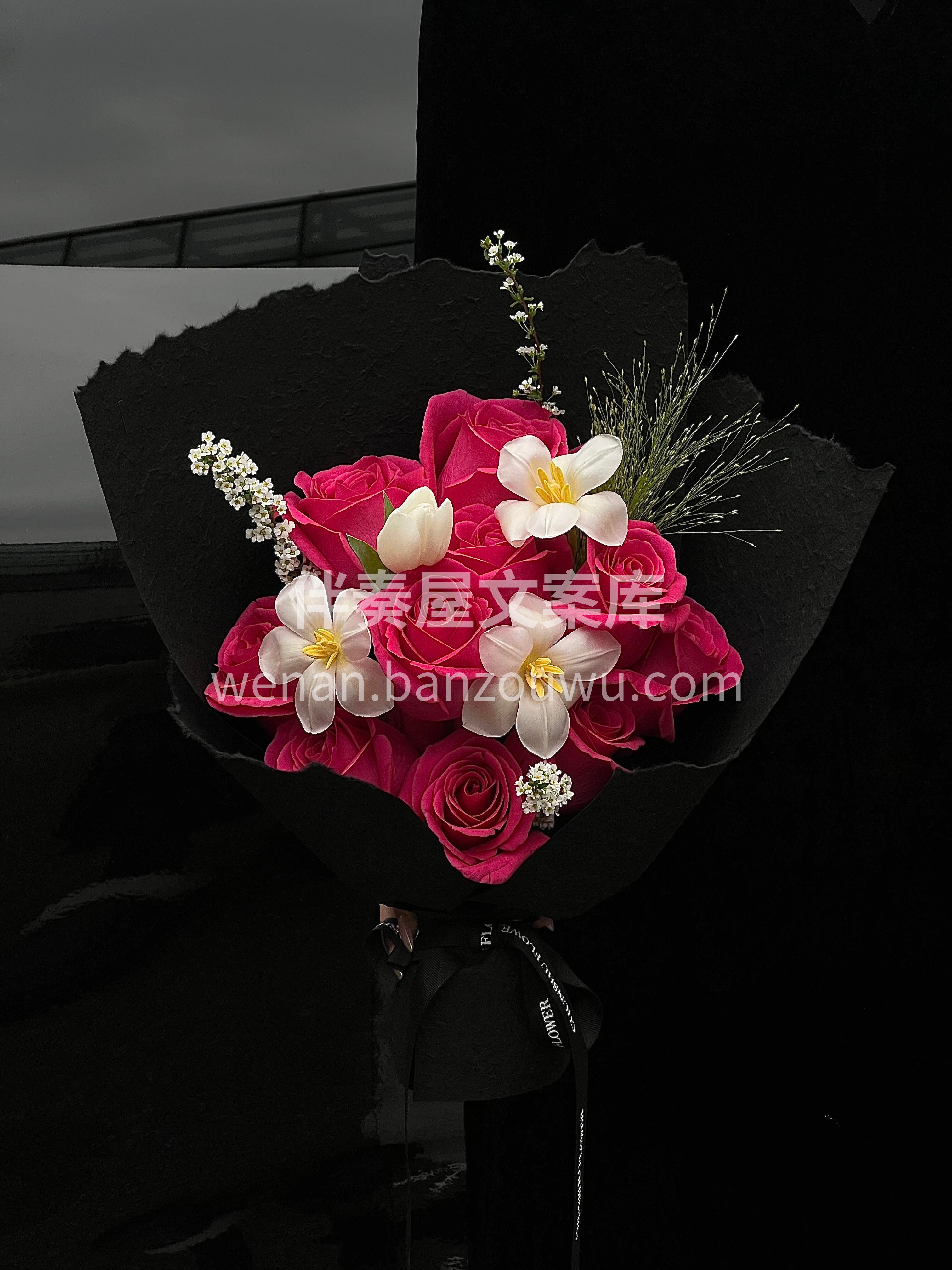 佛洛依德玫瑰🌹高贵冷艳的魅力让喜欢的人难以拒绝 恰如我懂你的 配图3