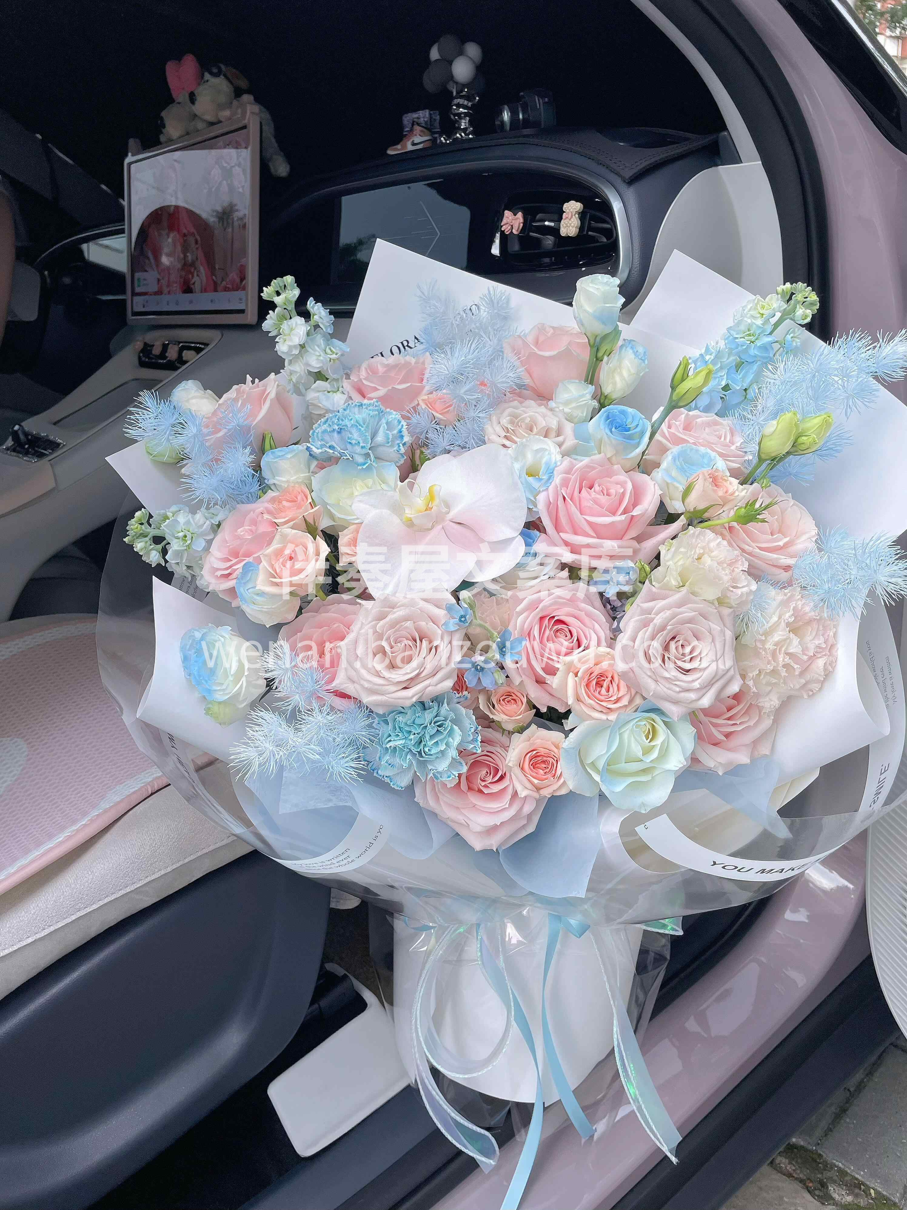愿你被世界温柔以待🫧 既有粉色的浪漫🌸也有蓝色的从容💙 在每 配图1