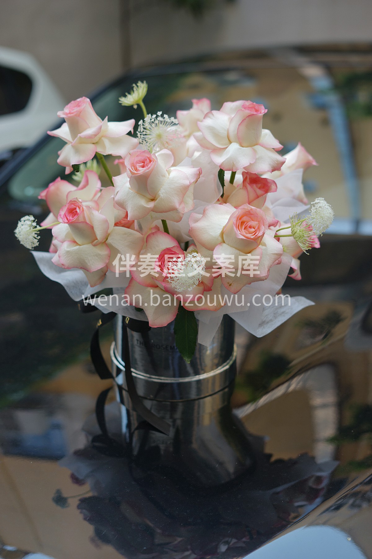 艾莎玫瑰抱抱桶 粉粉嫩嫩的也太少女心❤了 配图1