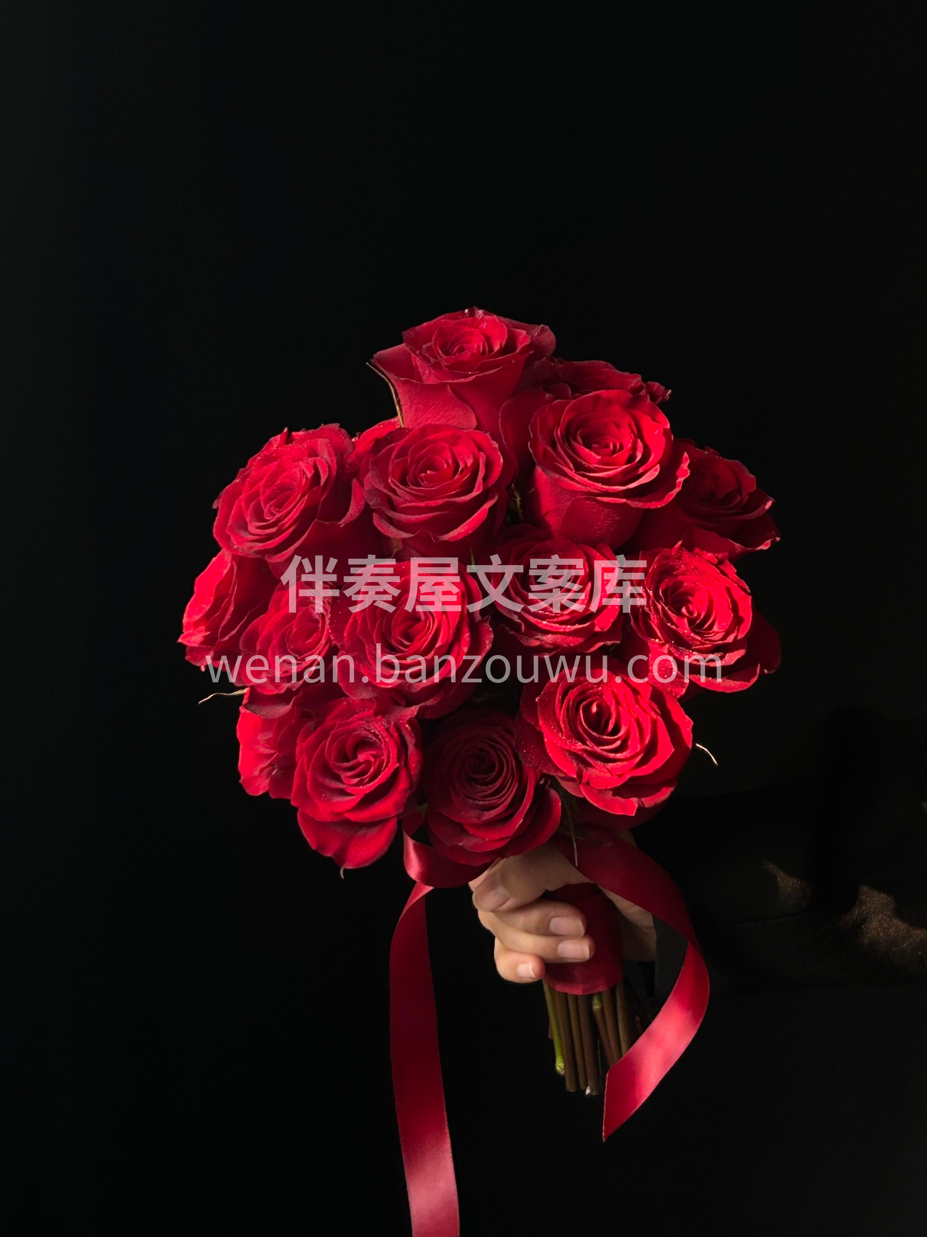 爆款红玫瑰手捧❤️经典永不落幕✨ 热烈又浪漫🌹拍照出片氛围感 配图2