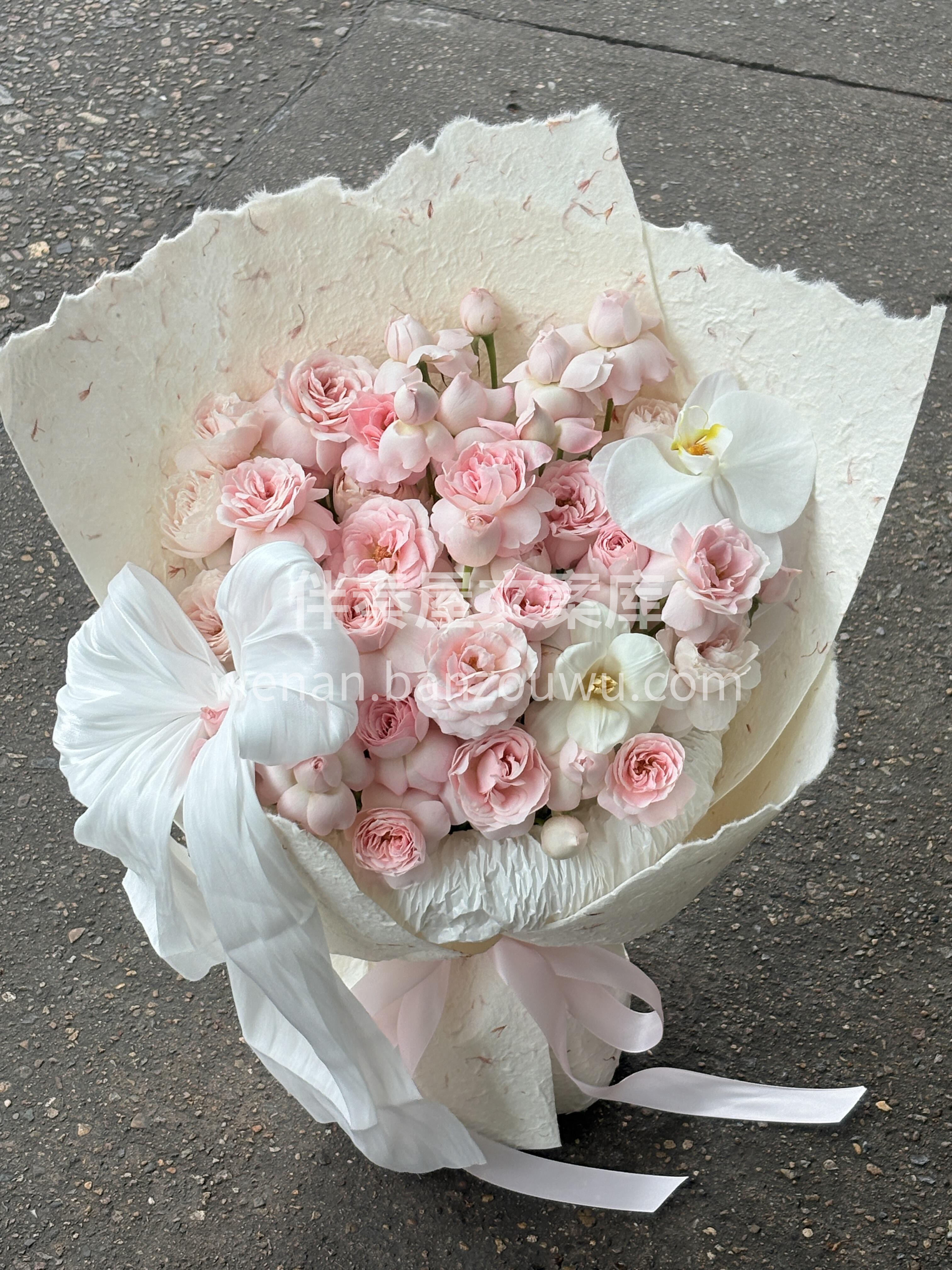 仙子之吻来咯🌸 淡粉色花瓣与杯状花型🌺共 配图1