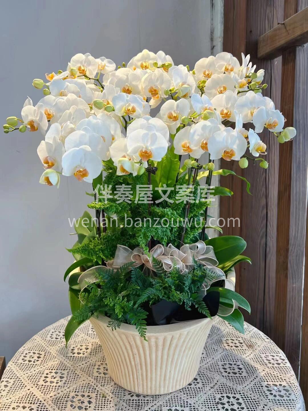 蝴蝶兰盆景🪴摆在家里美爆了 大方又惊艳🌸不用费心搭配🌷就把家 配图7