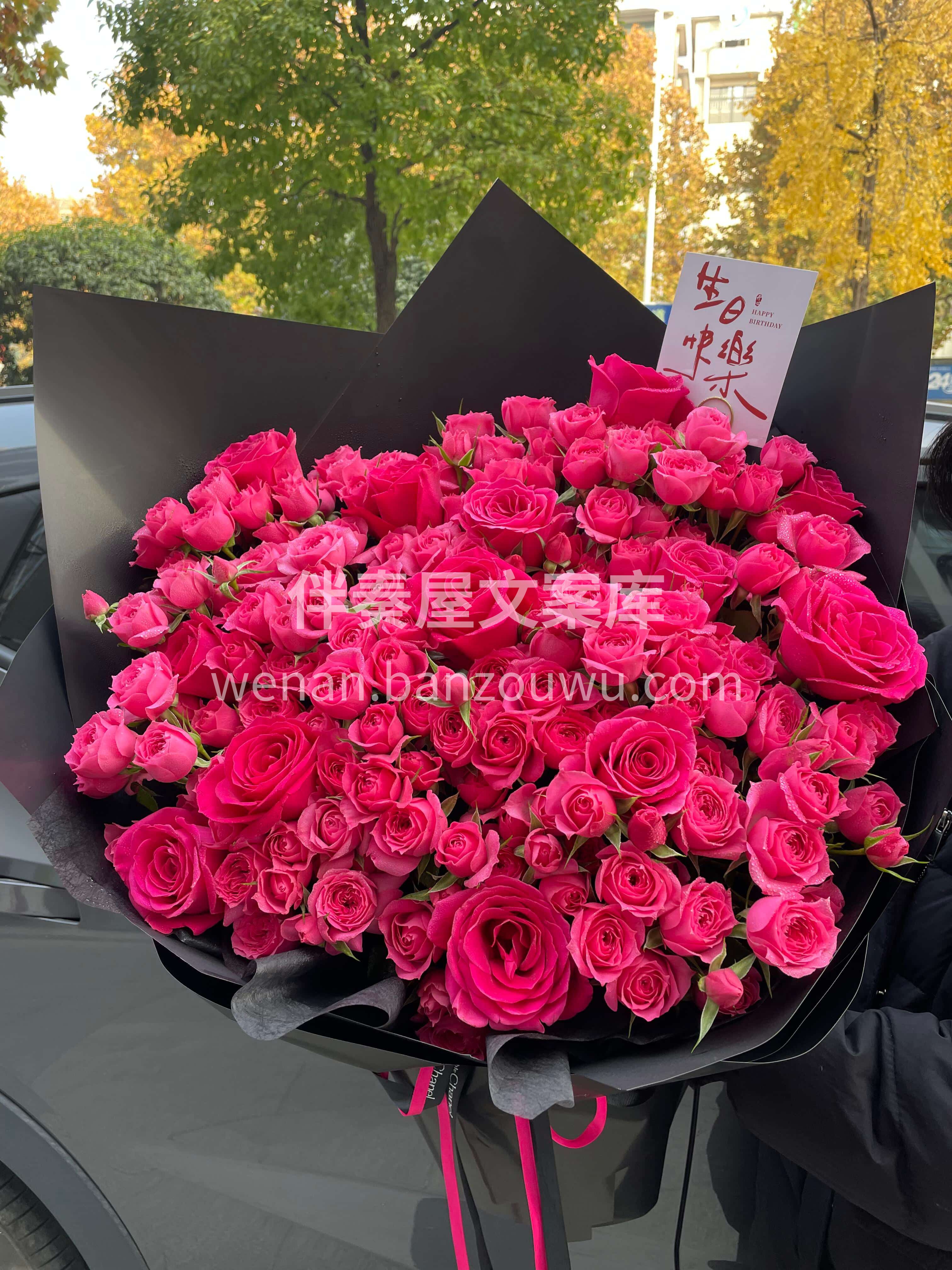 高饱和的浪漫🌸也可以很温柔🌷 苏菲宝贝搭配弗洛伊德💕让热烈变 配图2