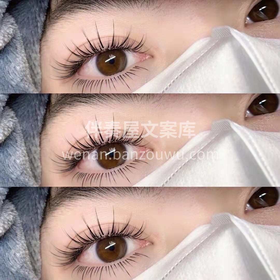 ⠀( ´͈ ᵕ `͈ )◞་་ ·* ٭