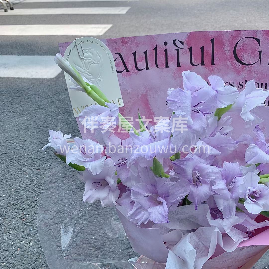 香芋紫剑兰花束，客订款 低调内敛又梦幻温 配图2