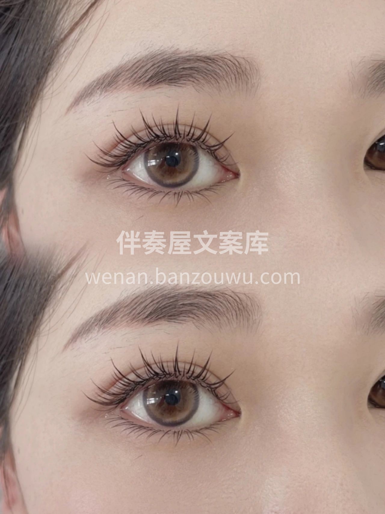 闭眼你是柔情似水 眨眼你是一瞥惊鸿 美睫