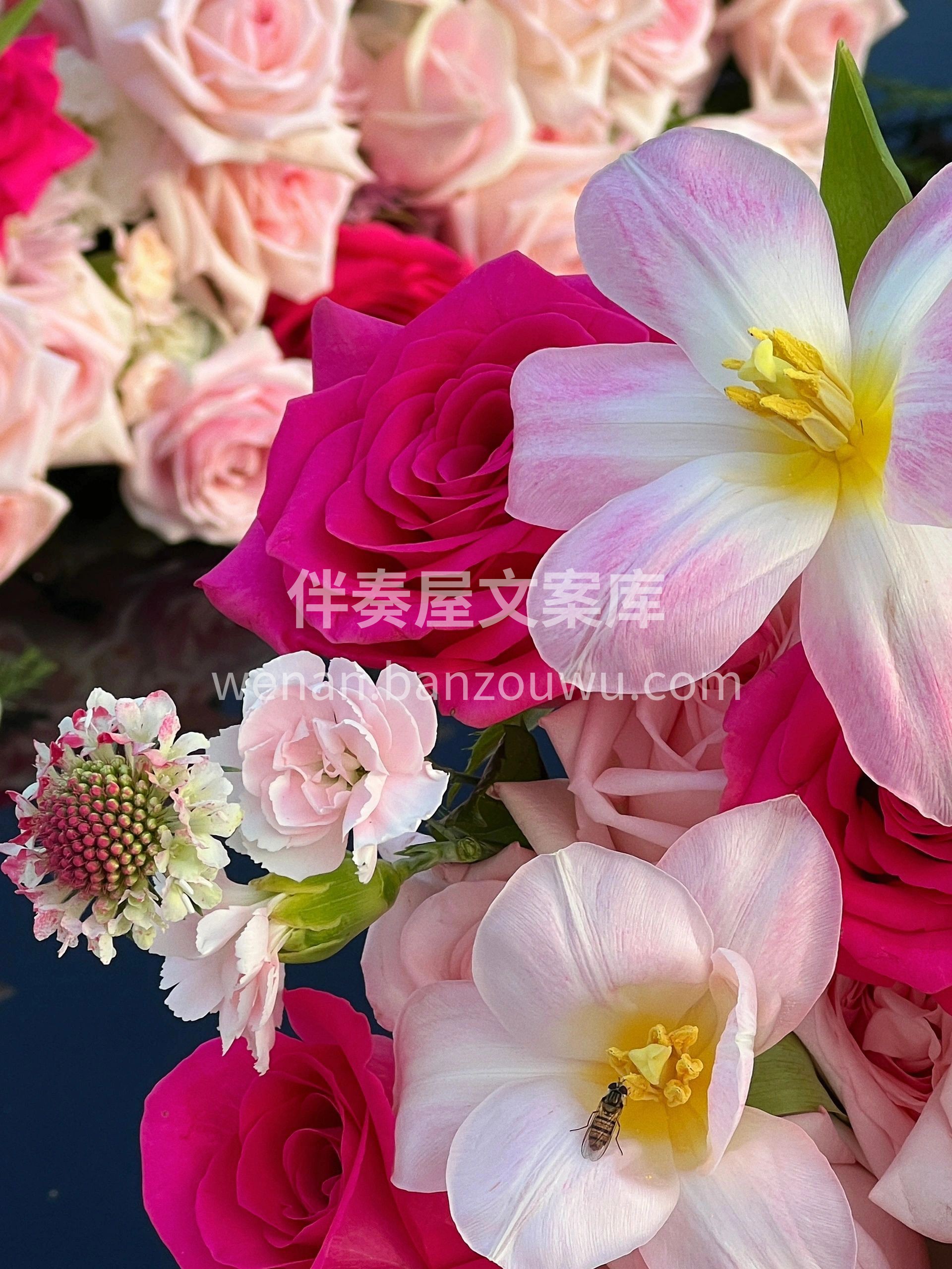 愿你俩用爱去缠着对方💑 彼此互相体谅🍬和 配图2