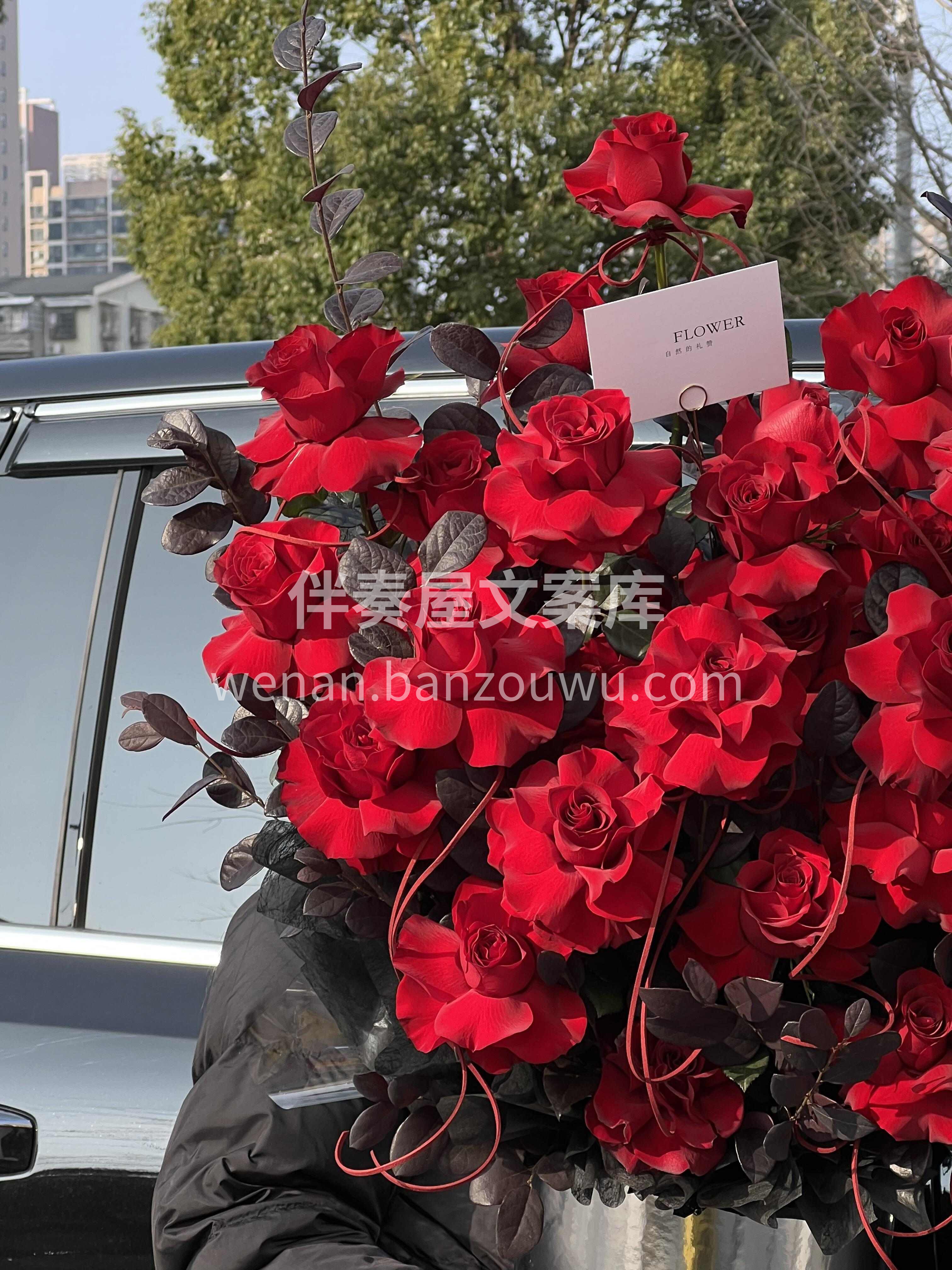 🌹红玫瑰从来不是俗气 是明目张胆的偏爱 是一眼就看到的真心❤ 配图2