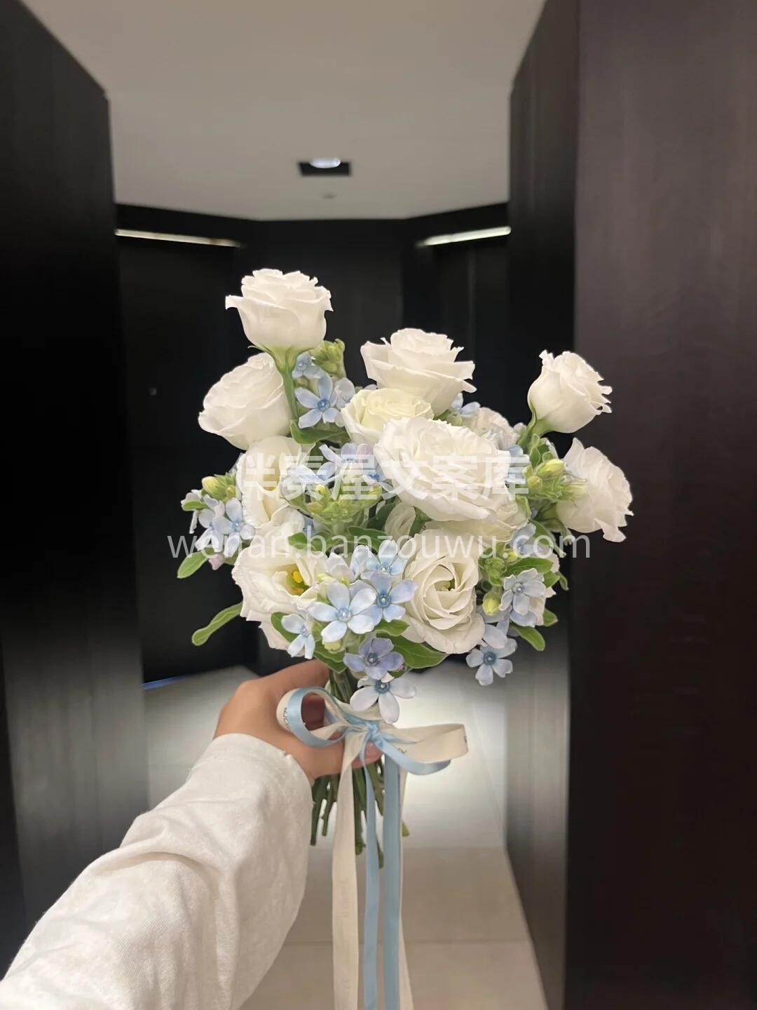 💙蓝星花缀着温柔 🤍洋桔梗藏着纯粹 一捧清浅💞满心欢喜 ＃小 配图2