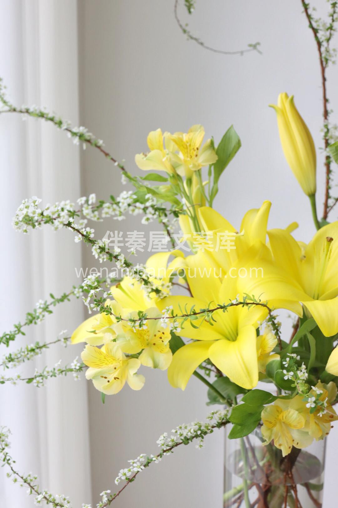鹅黄色的百合 🌸花瓶里流动的春日光谱 摘 配图3