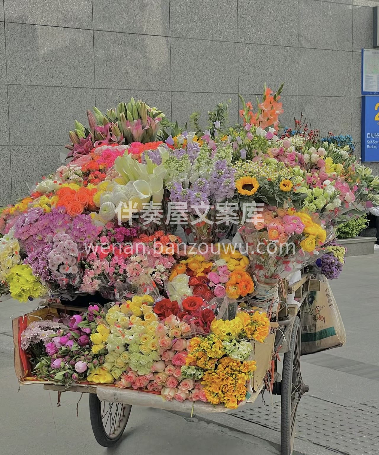 喜欢花朵铺满的春天，更期待满分的自己。可 配图2