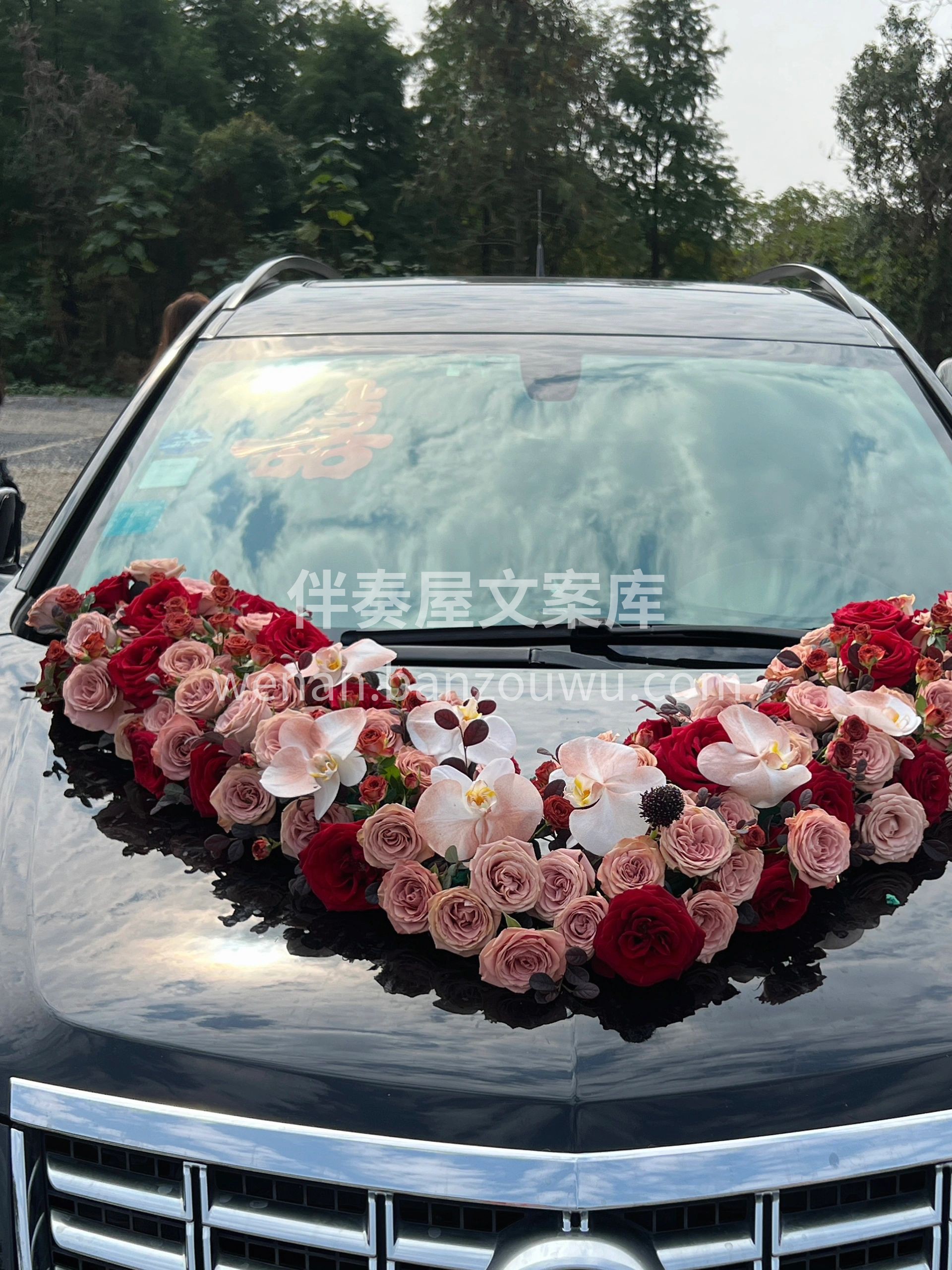 满满的玫瑰🌹 红玫瑰搭配复古卡布奇诺 低 配图3