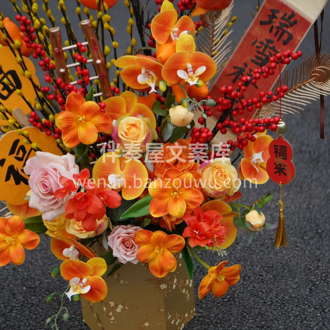 金玉满堂/步步高升💛 🧡橘黄色系年宵花 🧨新的一年 当然是要 配图2