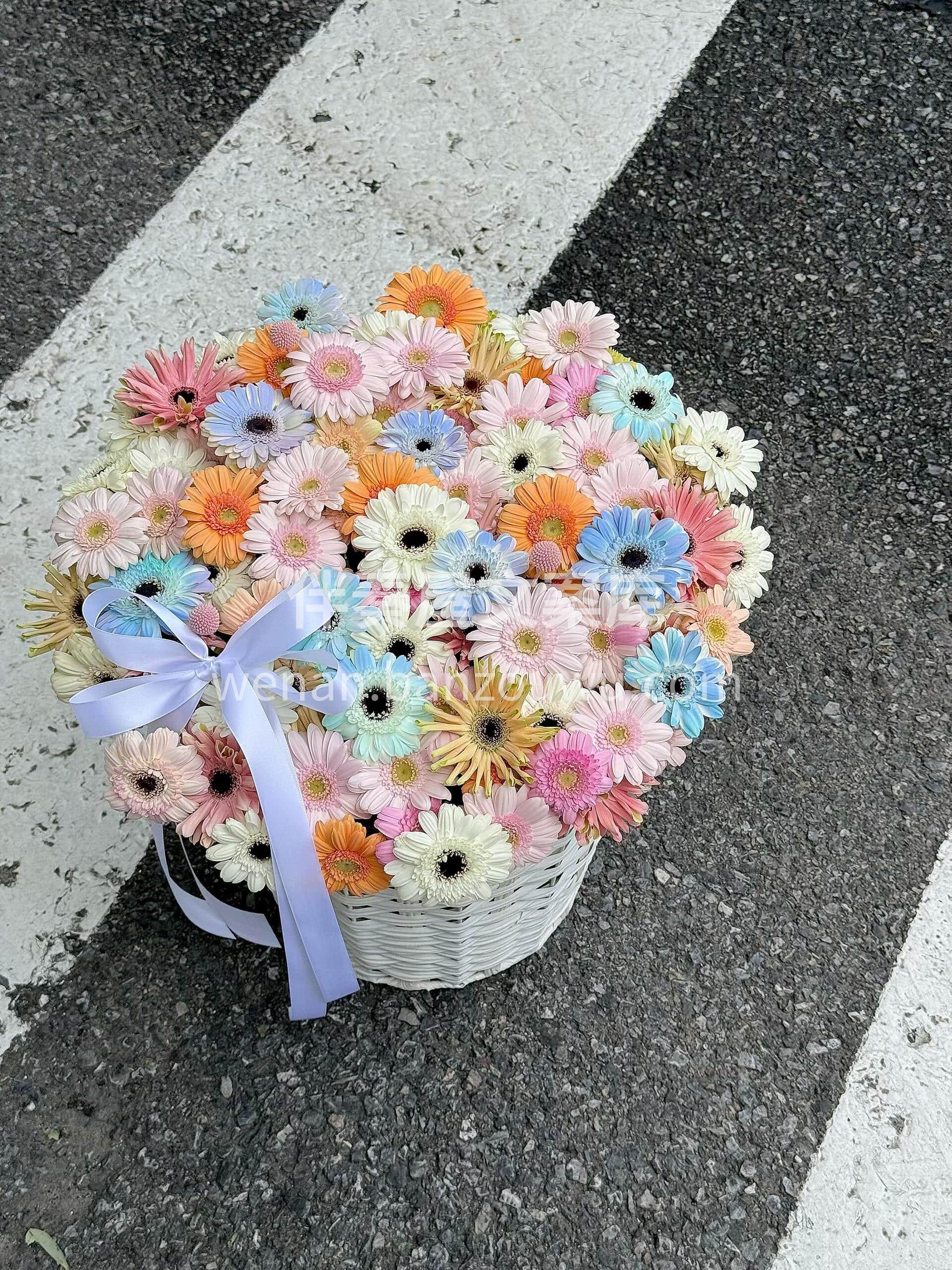 彩虹弗朗 🌈解锁不期而遇的惊艳[哇] ☀️一整盆沉甸甸的阳光 配图1