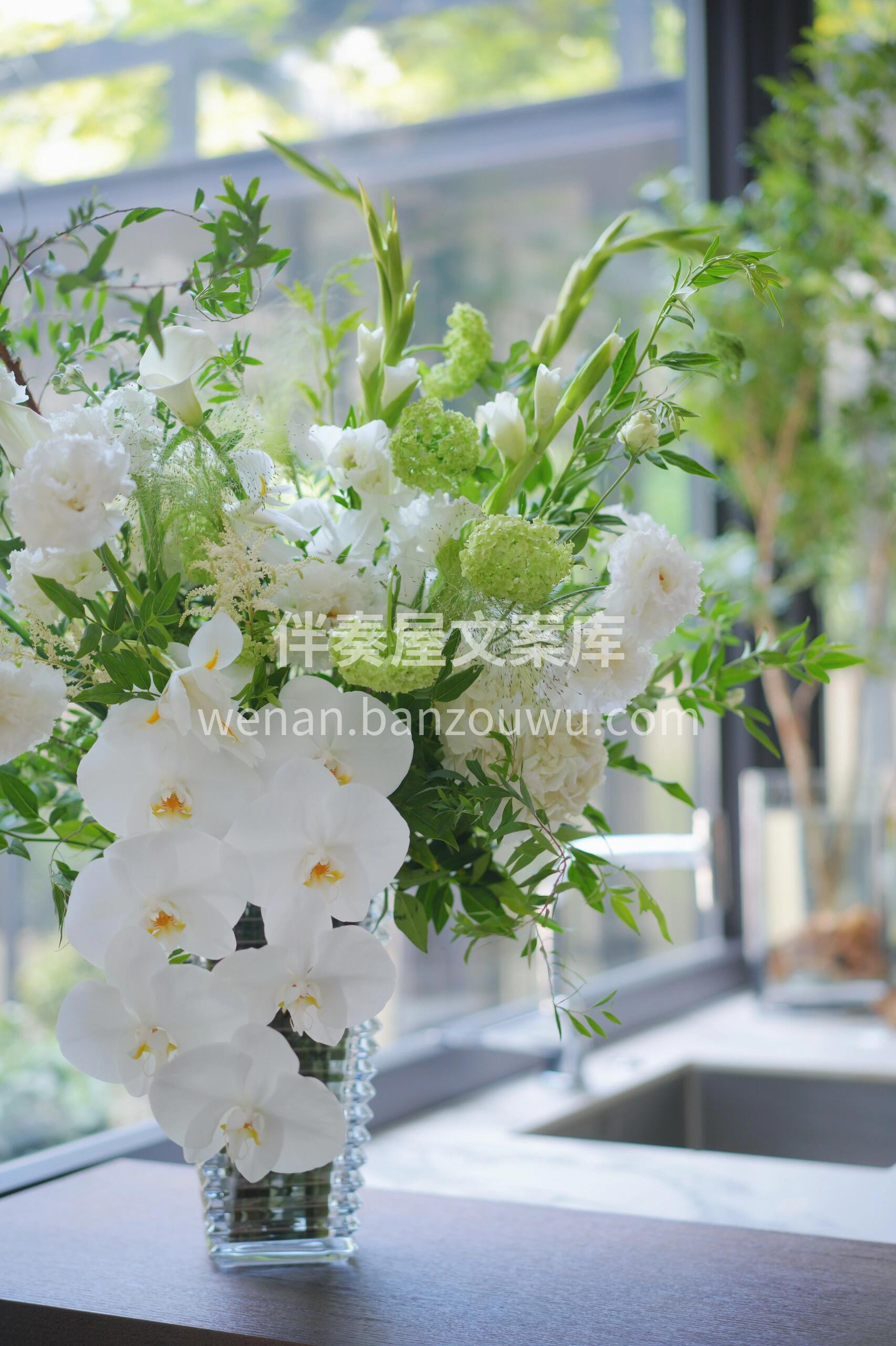 白绿色系🌼瓶插花 白的纯粹 绿的清新💚  配图2