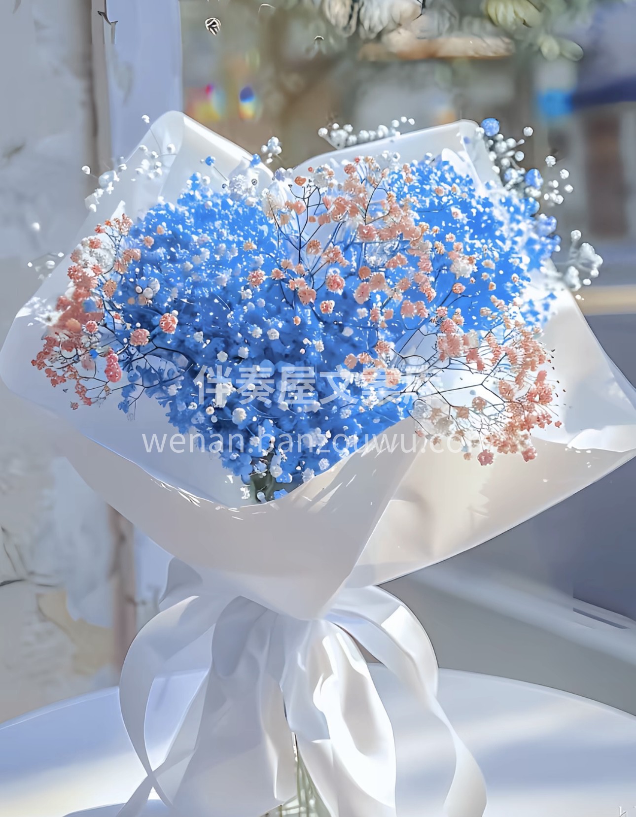 有一种花叫满天星 “它的花语是:我甘愿做 配图1