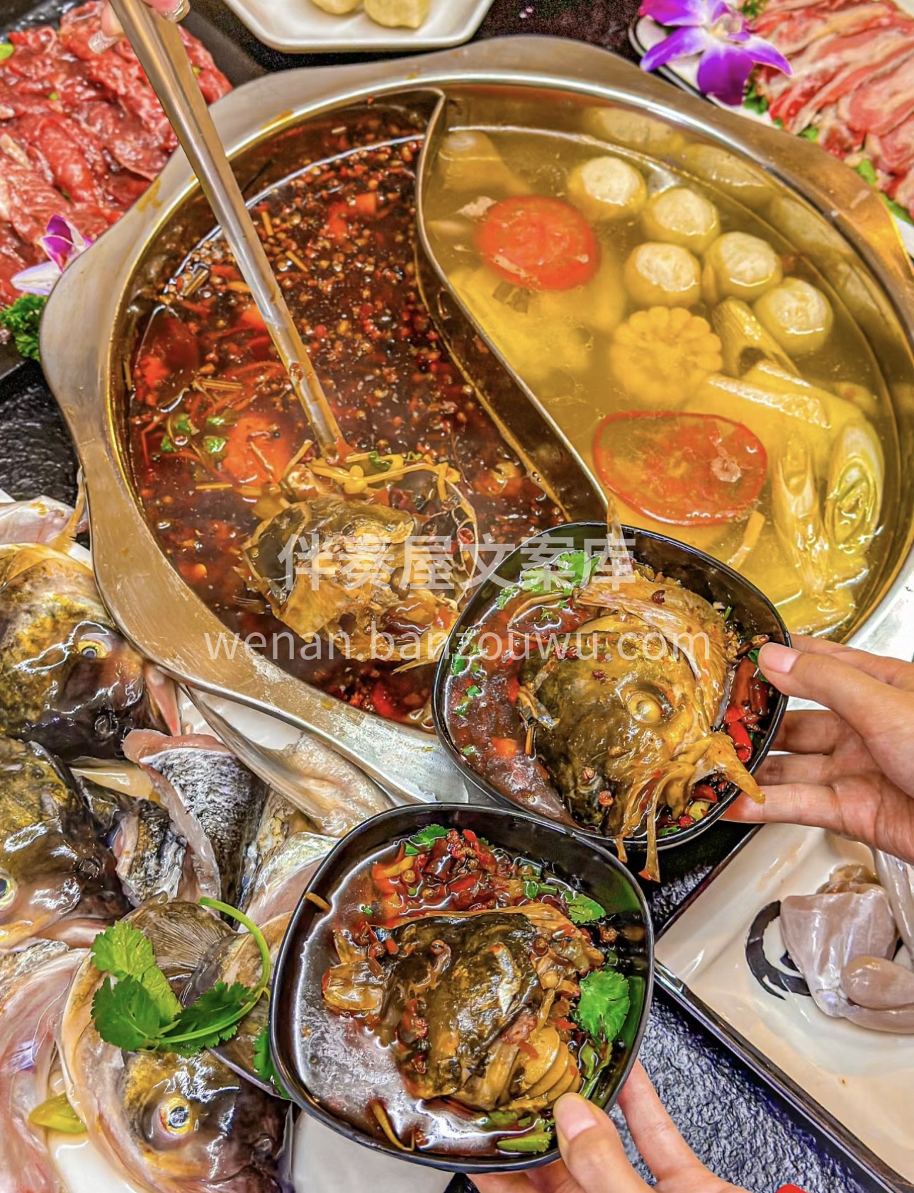 美好从这一锅鱼头火锅开始。硕大的鱼头在锅 配图1